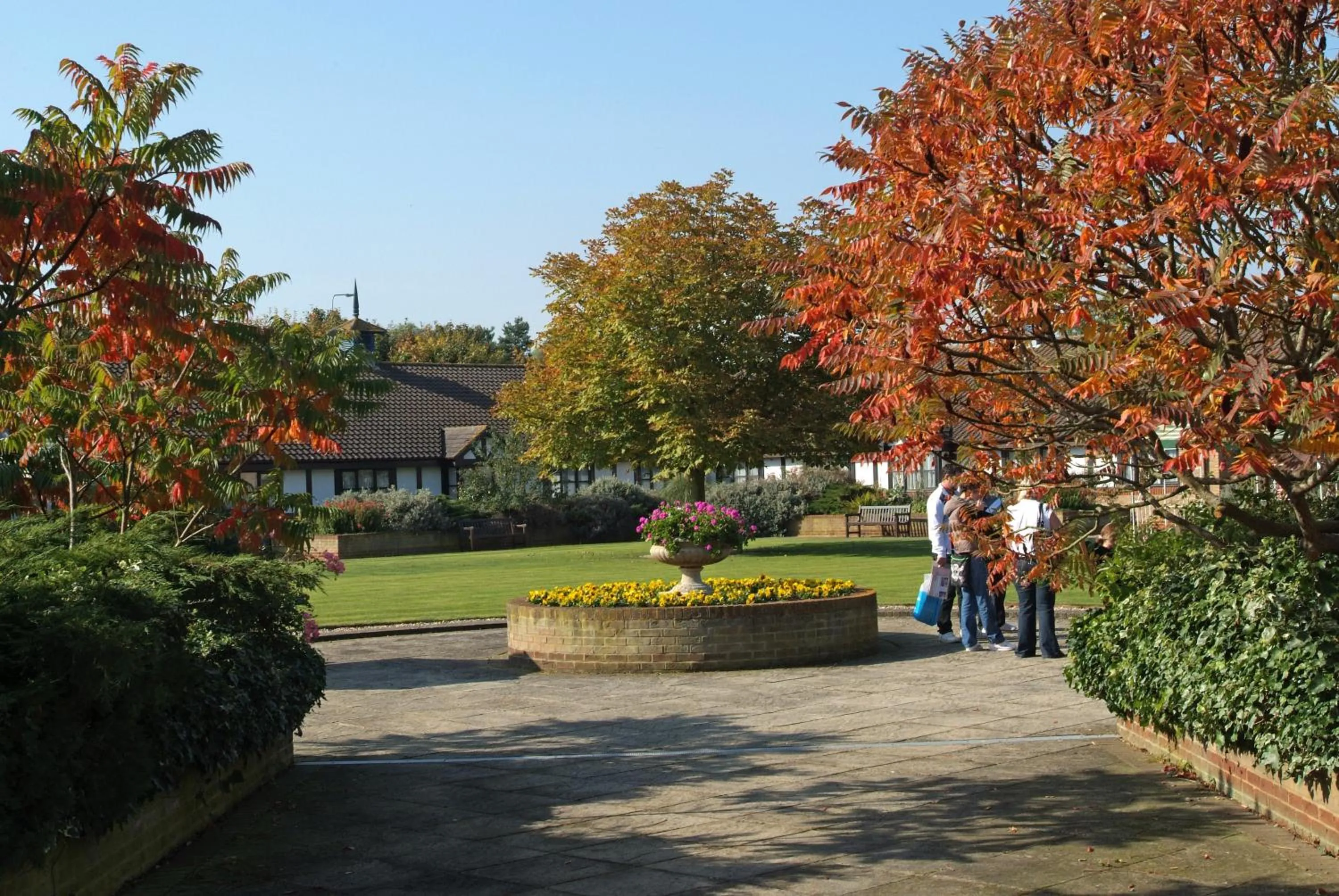 Garden in The Willows Training Centre