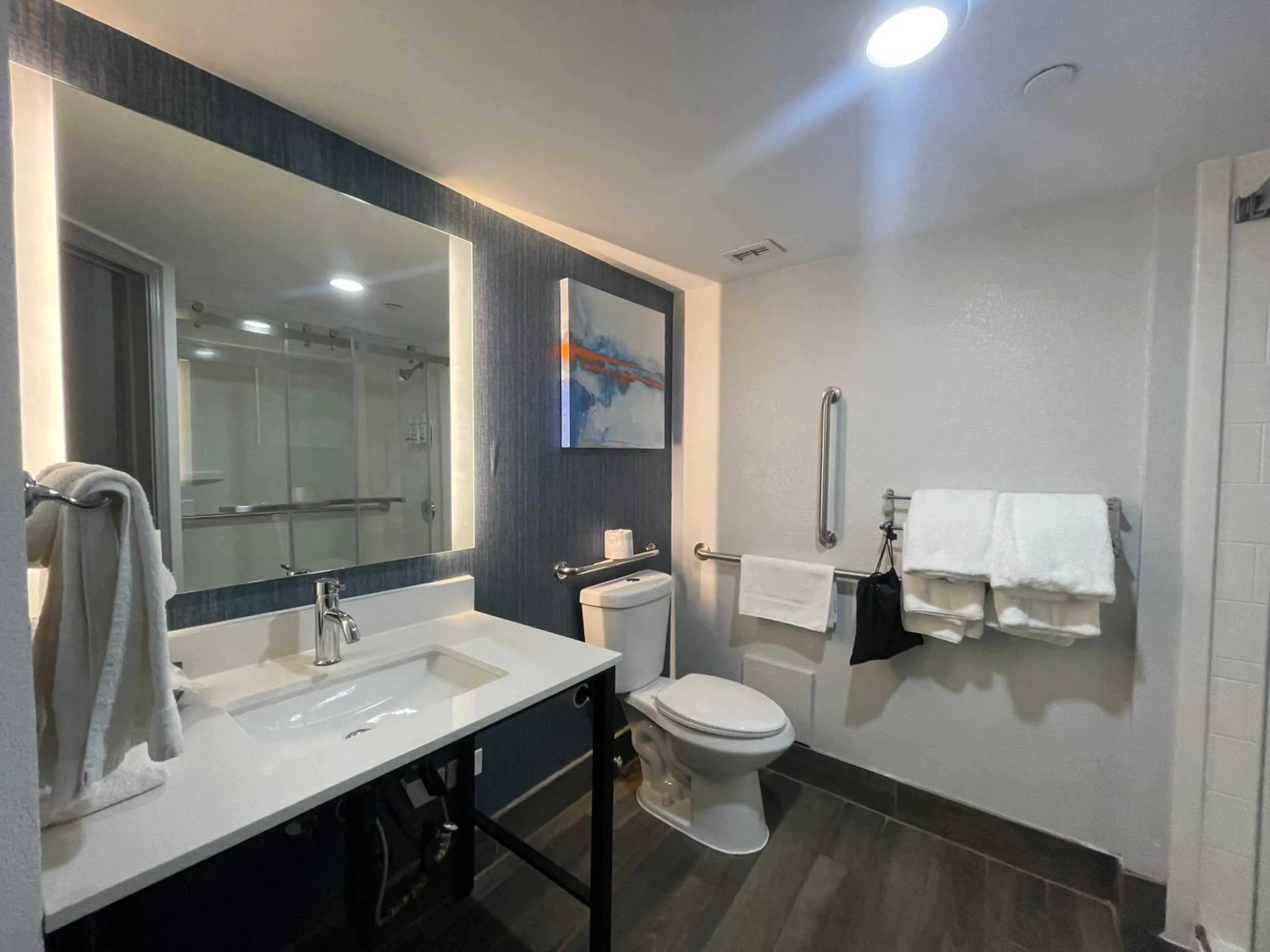 Toilet in La Quinta by Wyndham Birmingham Homewood