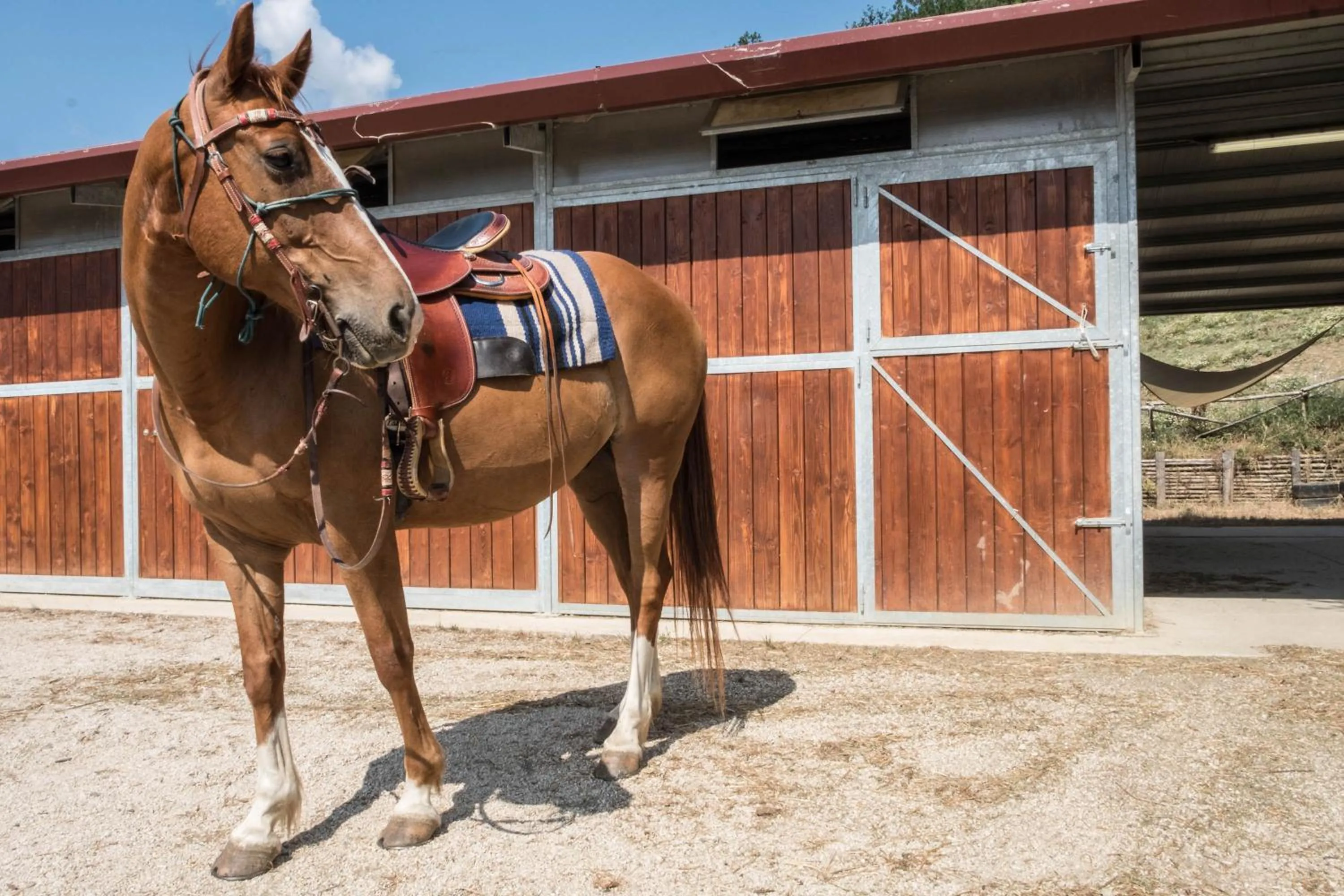 Horse-riding in Agriturismo Goccia di Luna