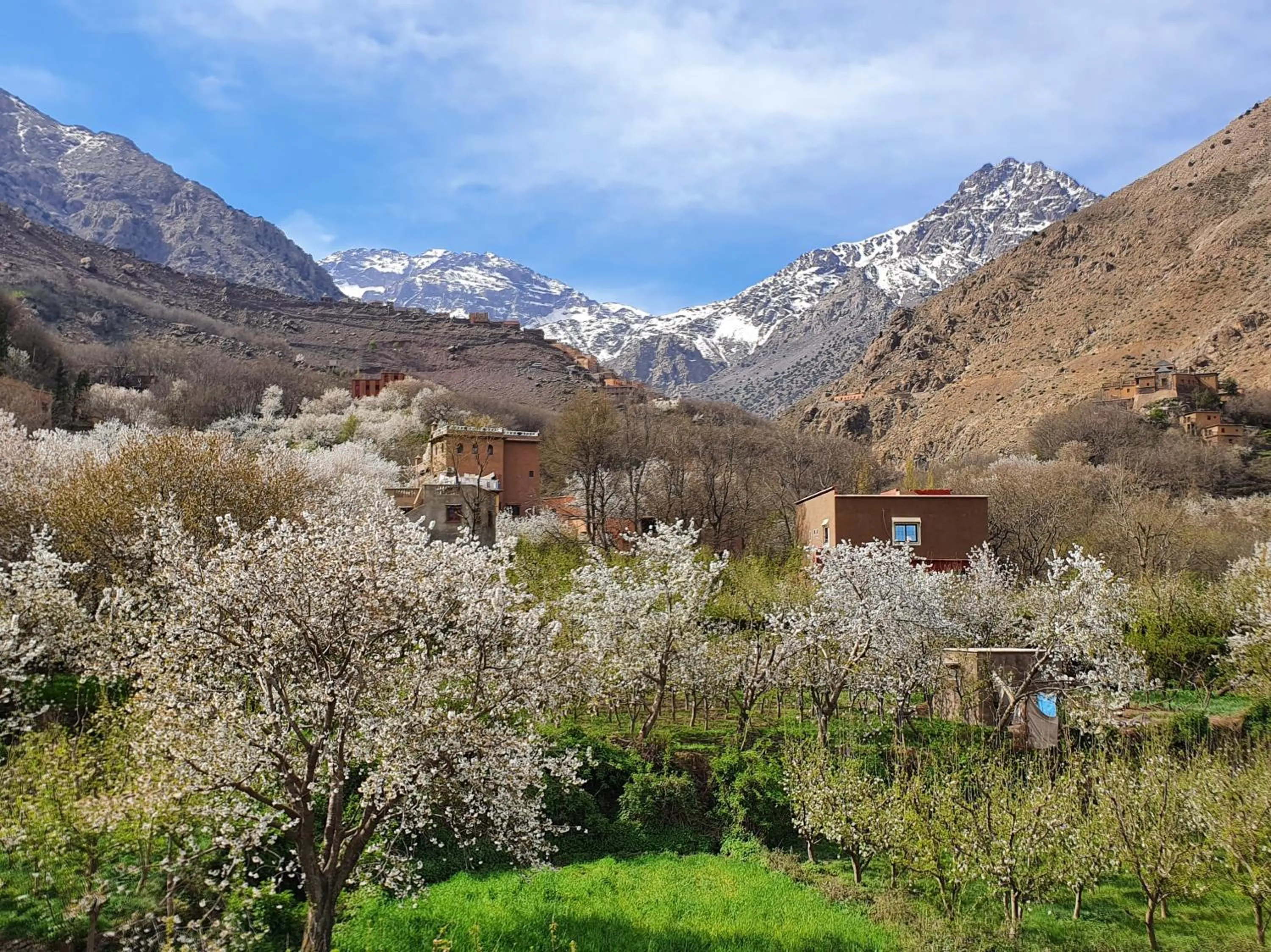 Garden in Dar Assarou - Toubkal National Park Lodge