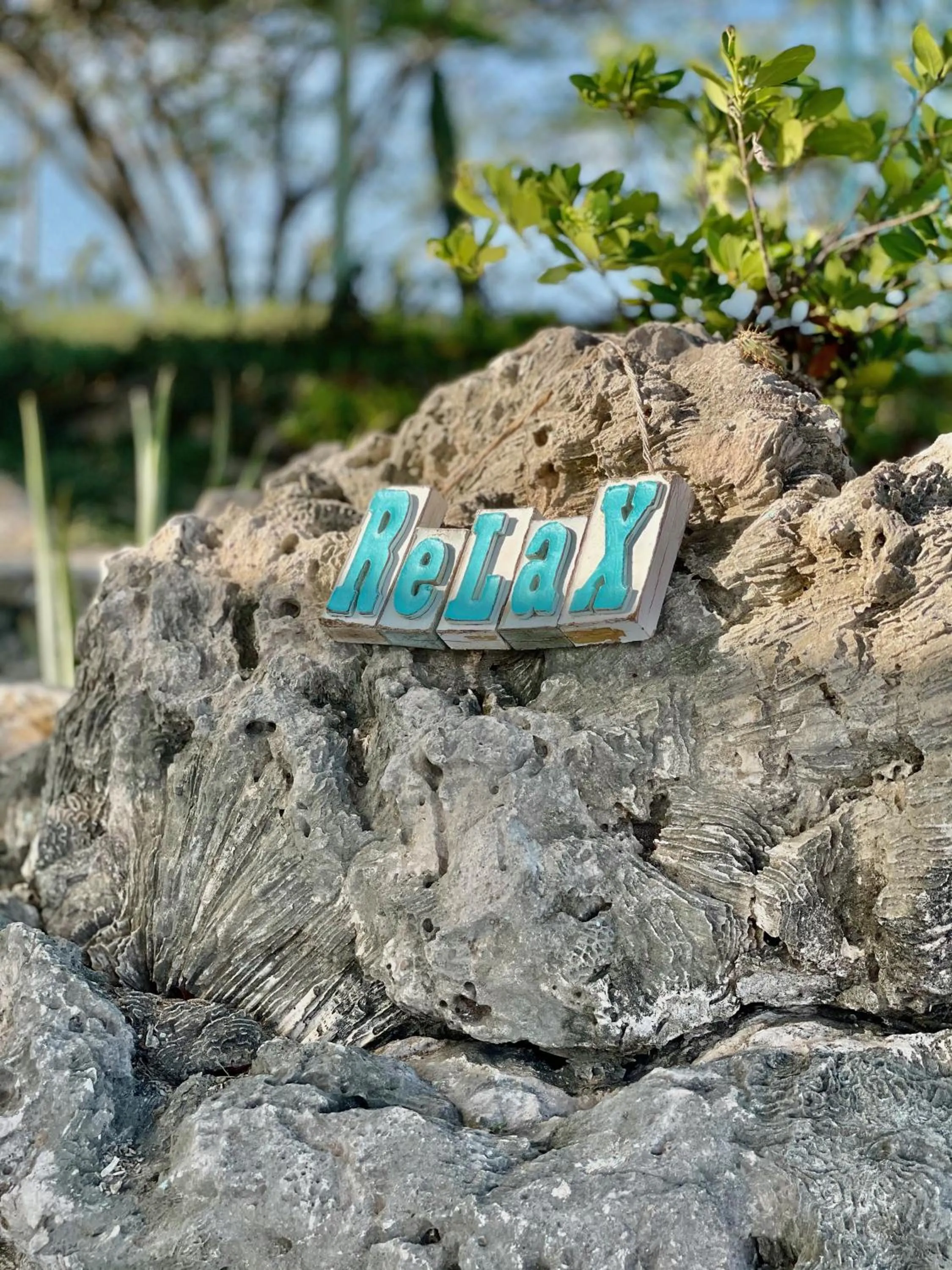 Natural landscape in Vistalmar Ocean Suites