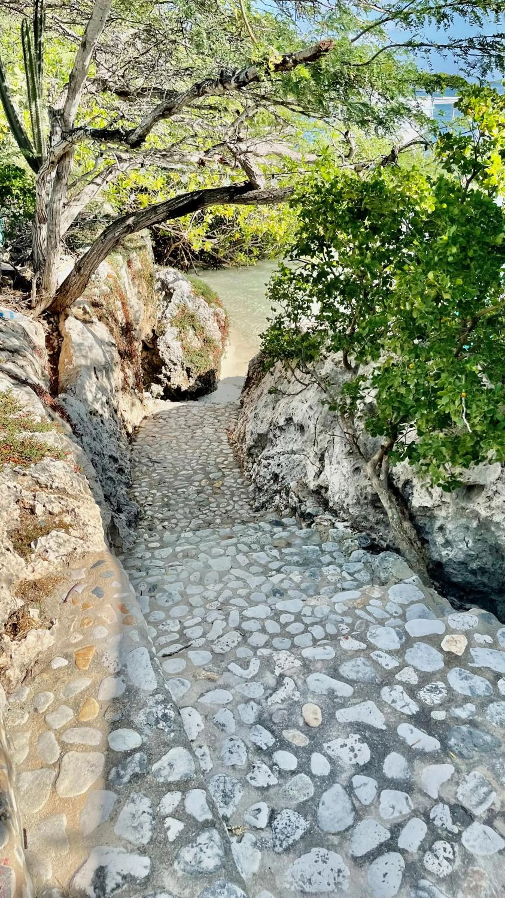 Natural landscape in Vistalmar Ocean Suites