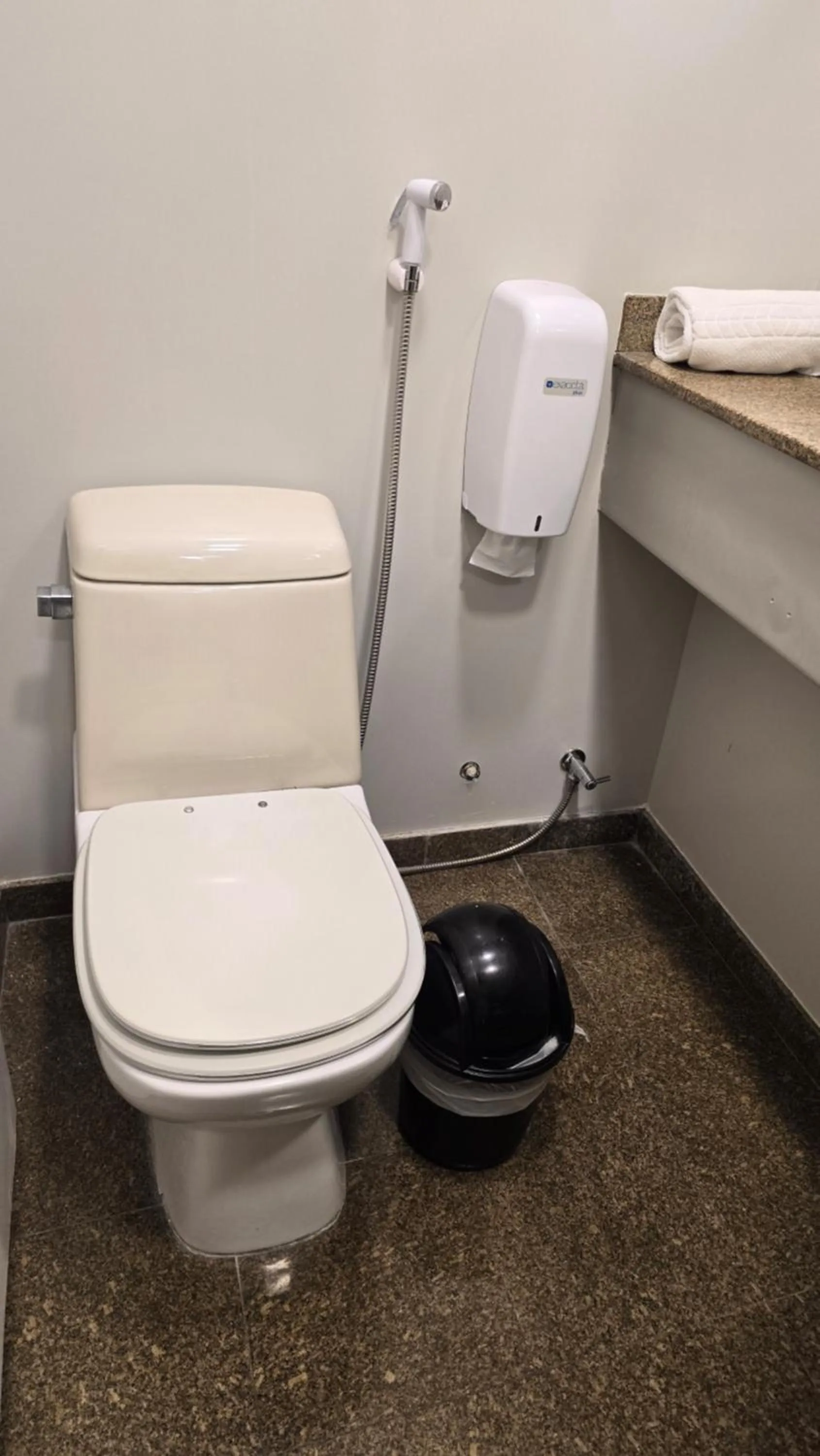 Bathroom in Plaza Inn Small Town Flat