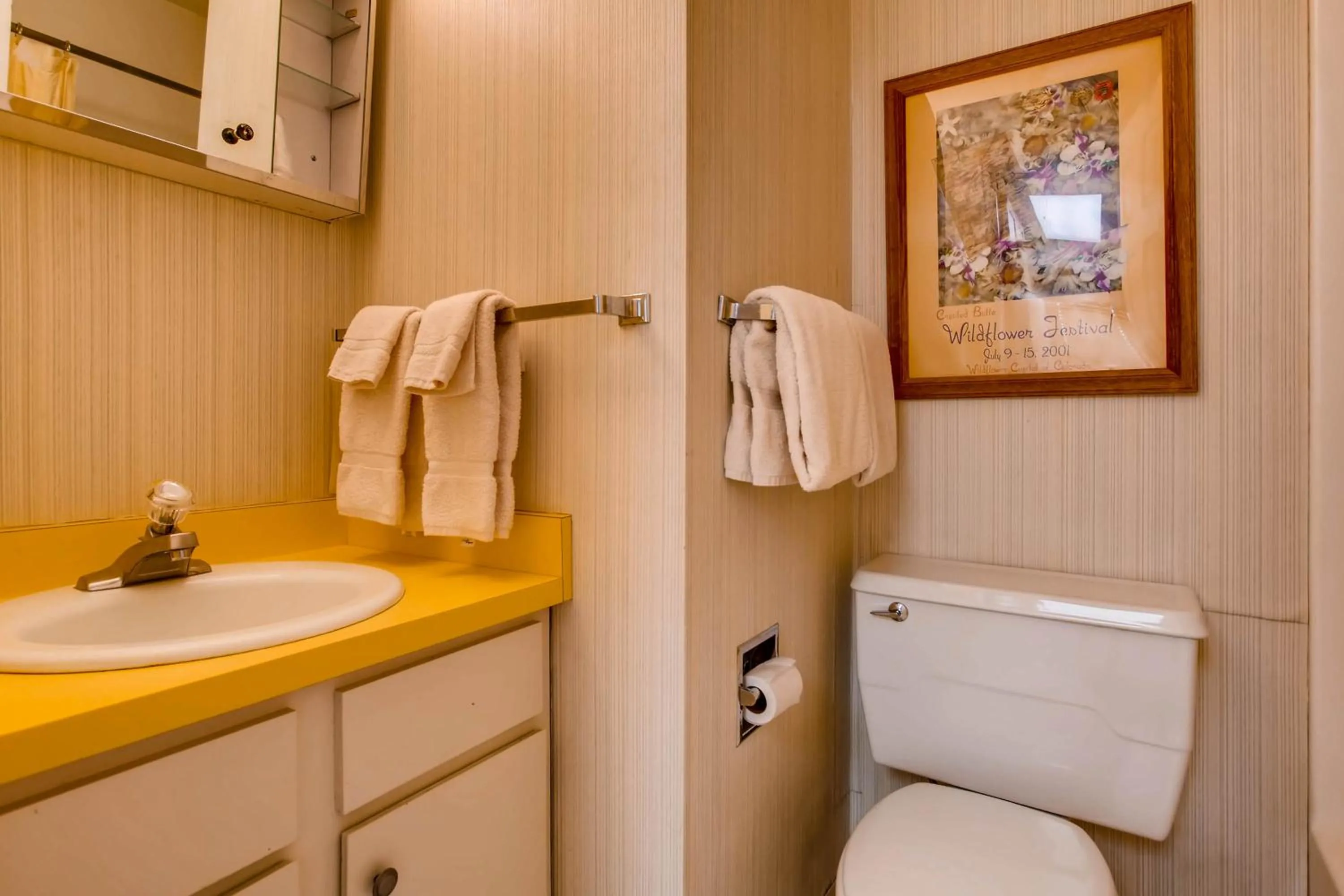 The Plaza Condominiums, A Vail Resorts Property