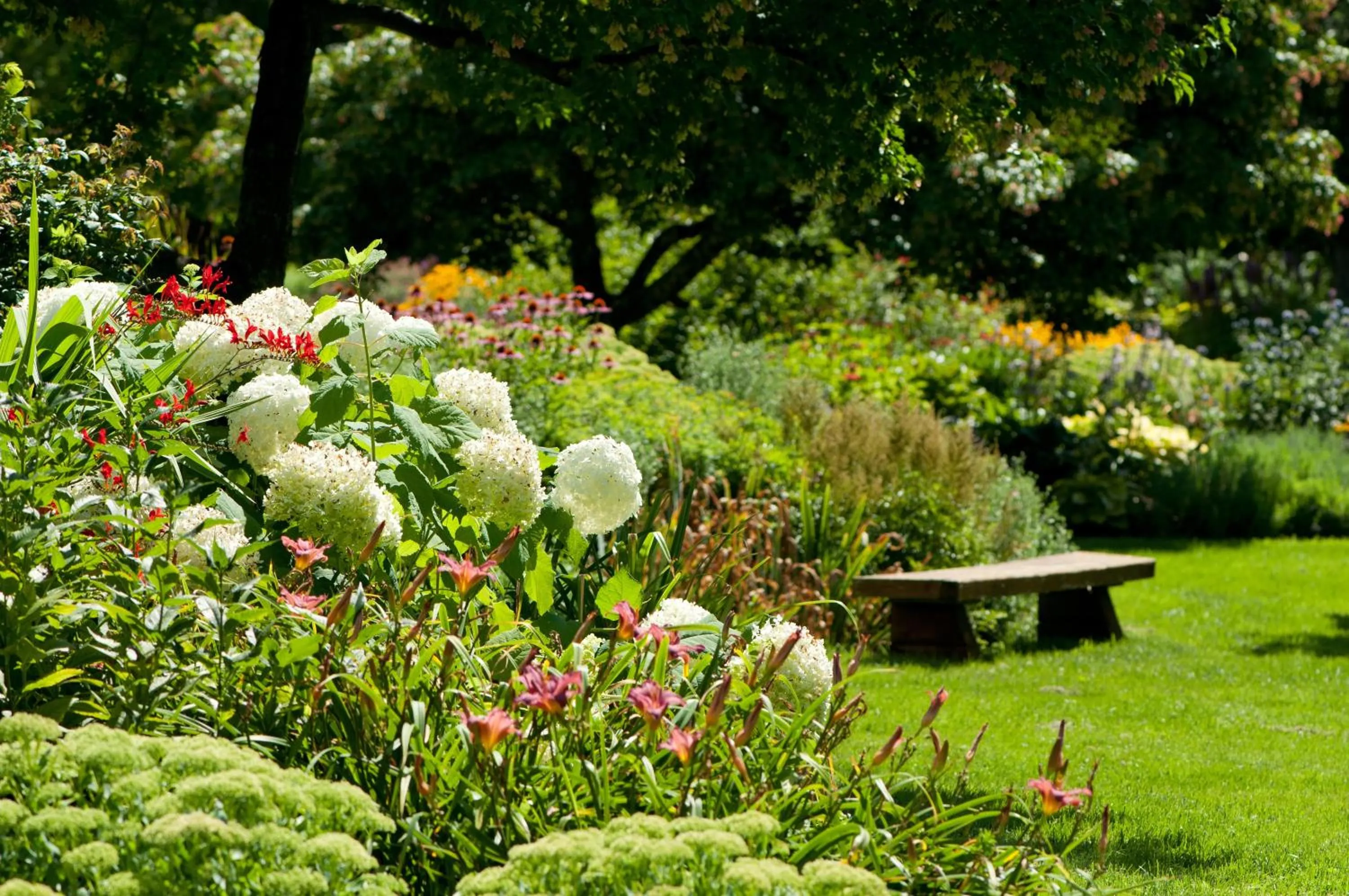 Garden in Auberge des Gallant