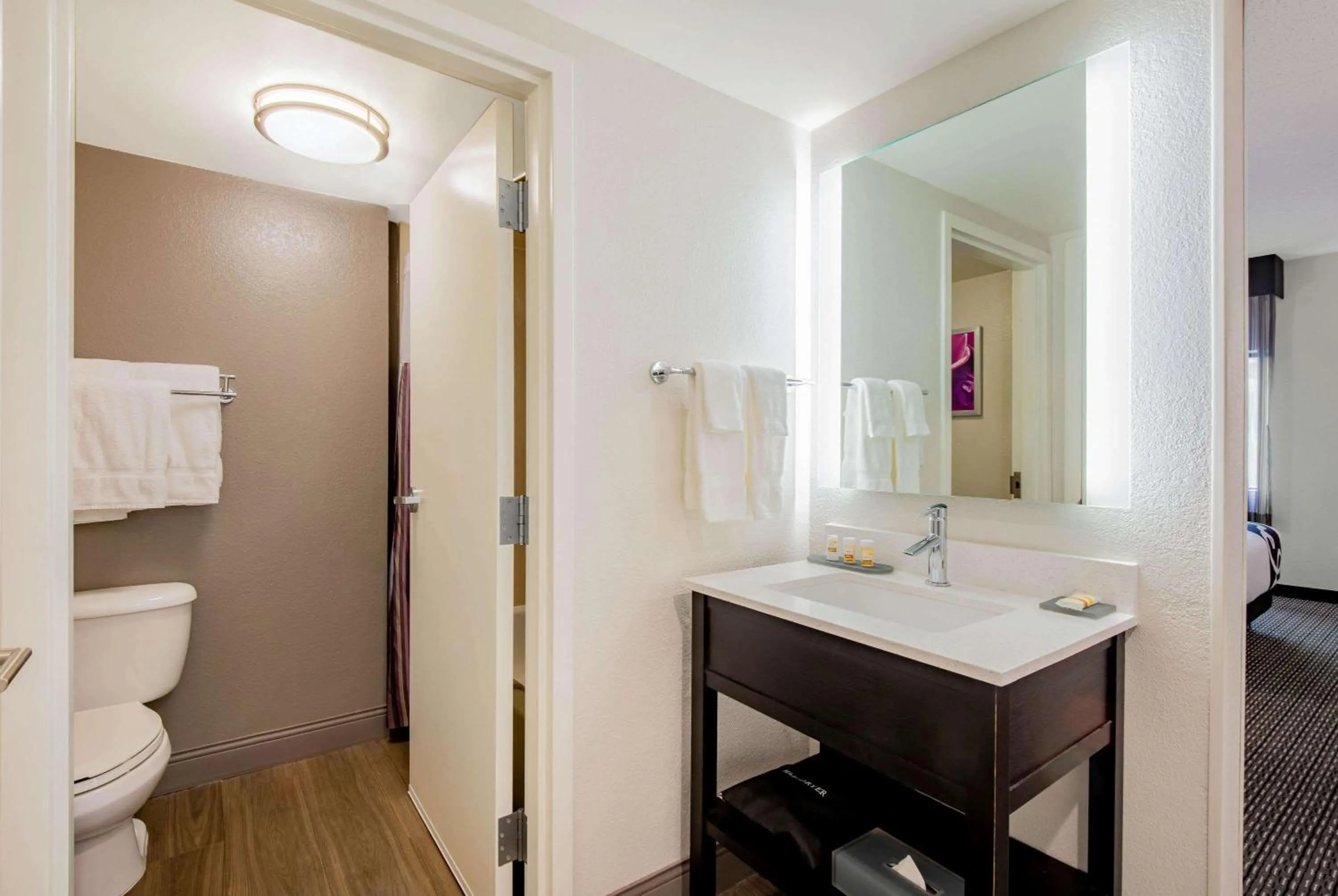 Bathroom in La Quinta by Wyndham Baltimore BWI Airport