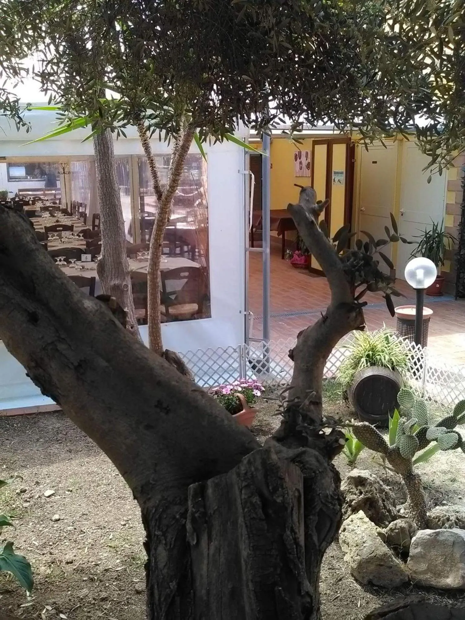 Garden in Andrea Case Vacanze L'Ancora