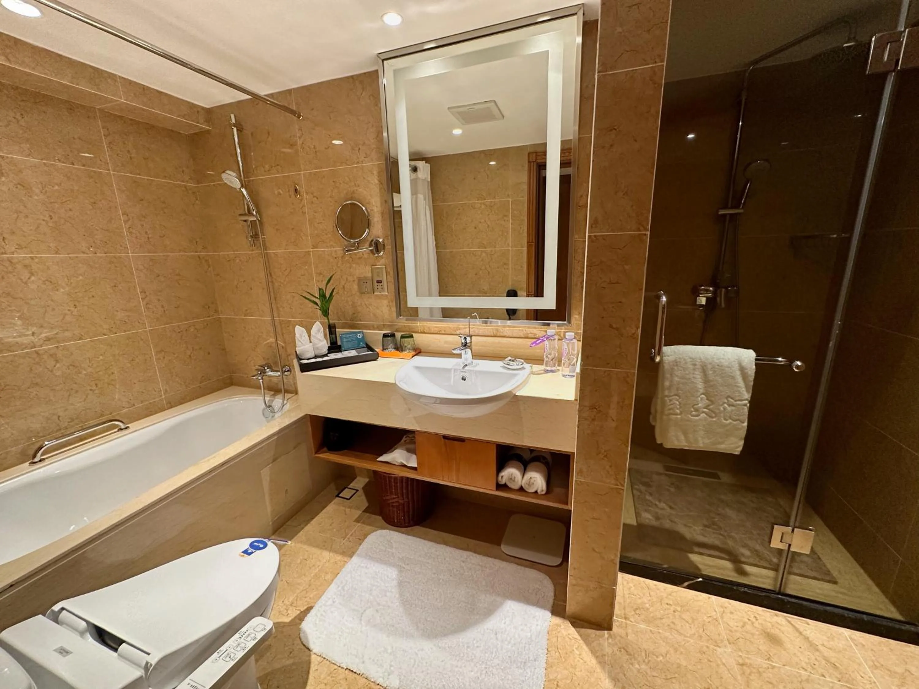 Toilet in Mason Hotel