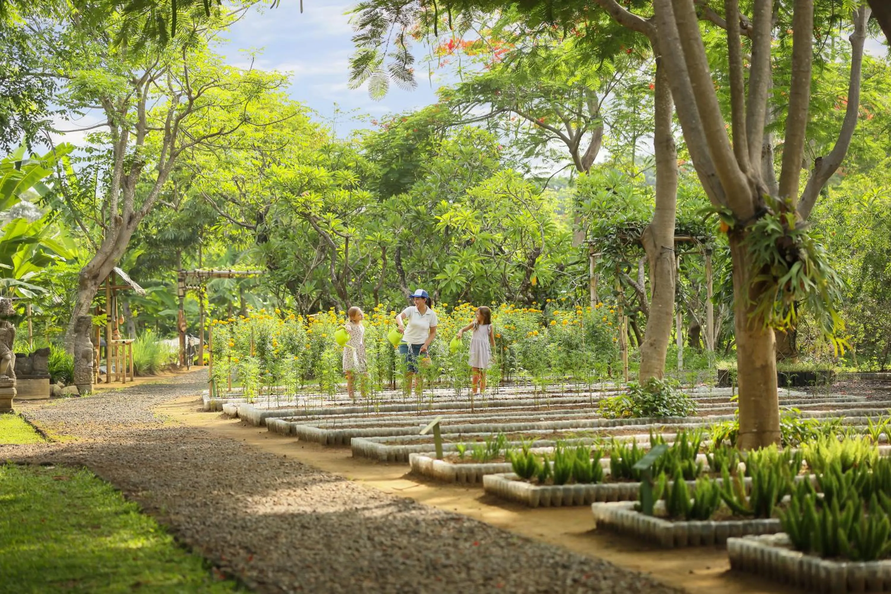 Garden in Padma Resort Legian