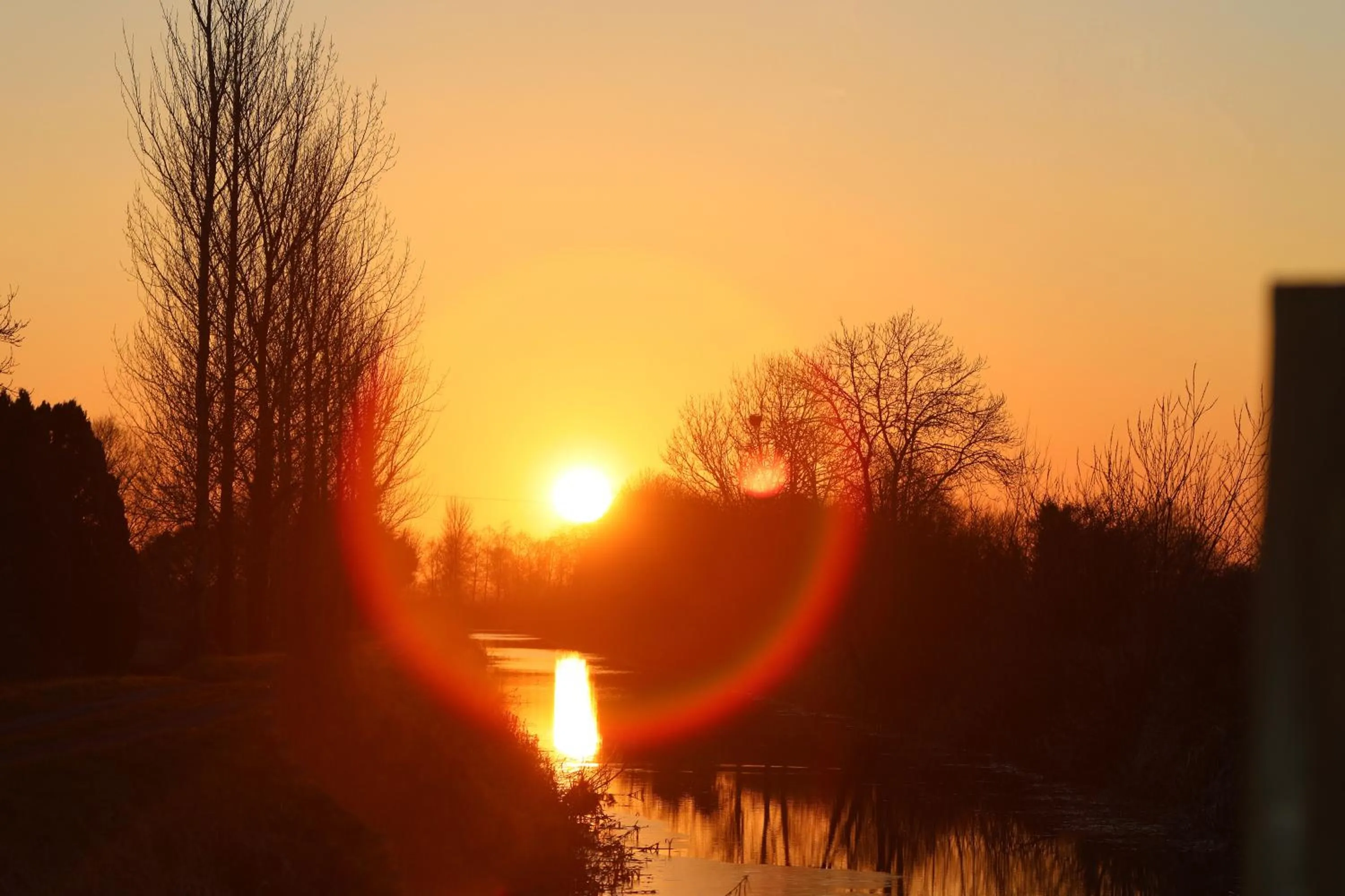 Natural landscape in Abbeyview House B&B and Glamping