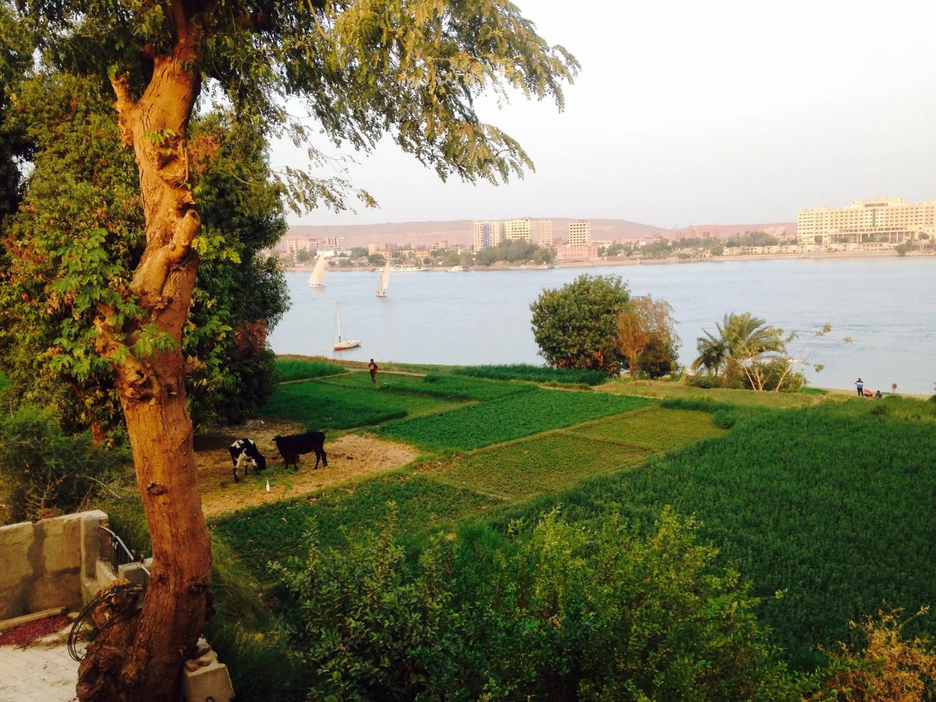 Natural landscape in Nubian Holiday House Aswan