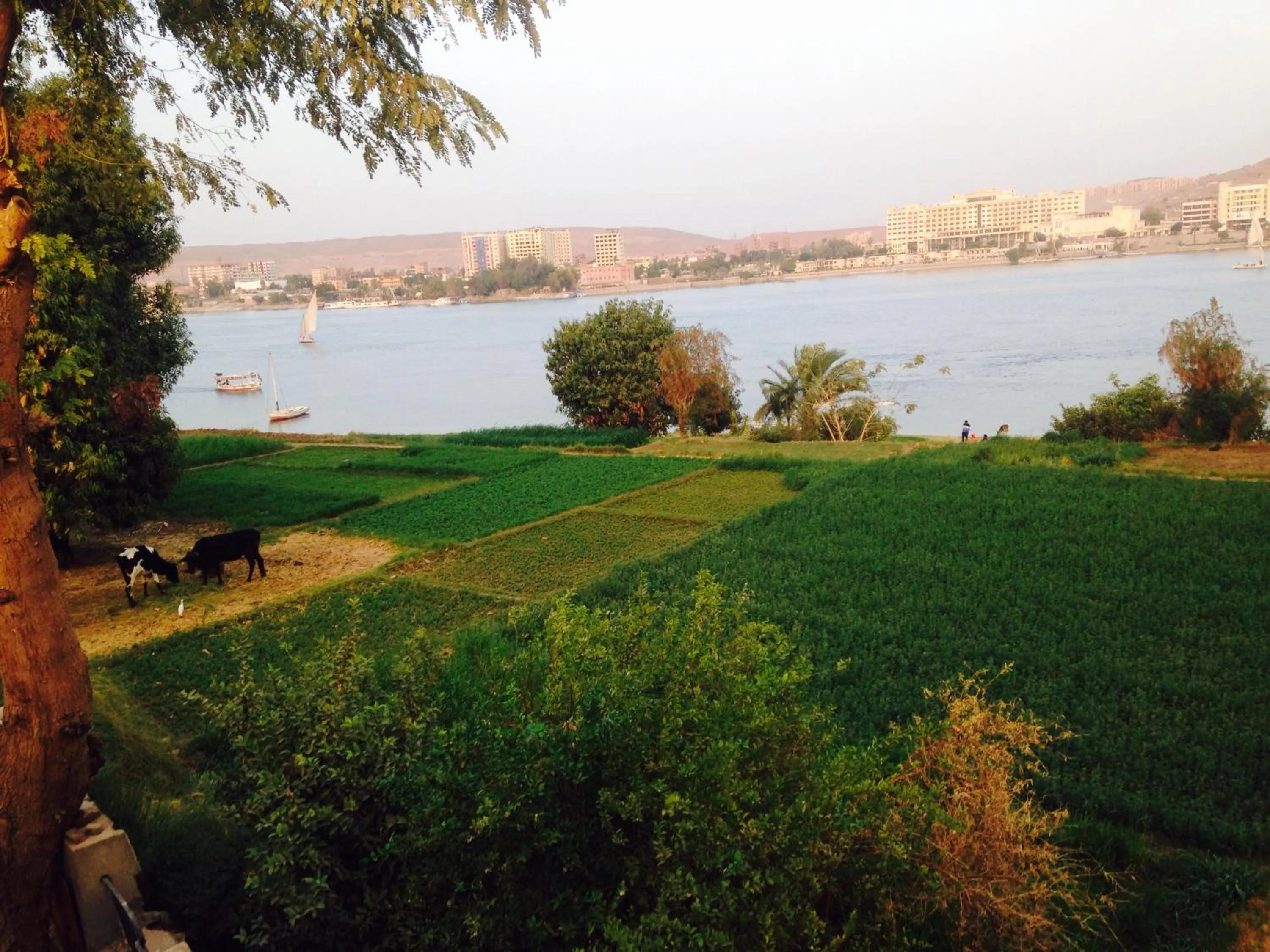 Natural landscape in Nubian Holiday House Aswan