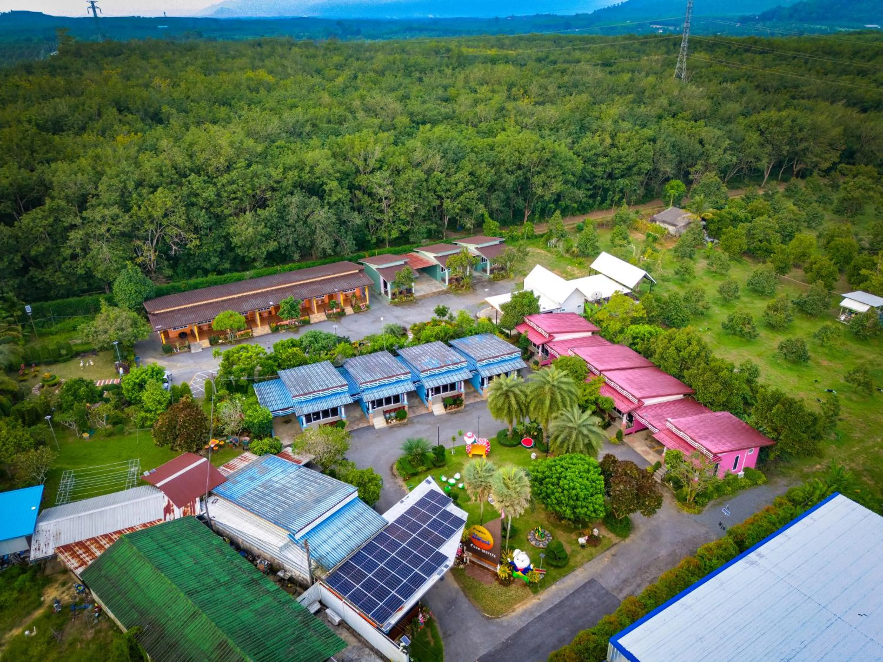 Day in Baan Suan Mee Tang