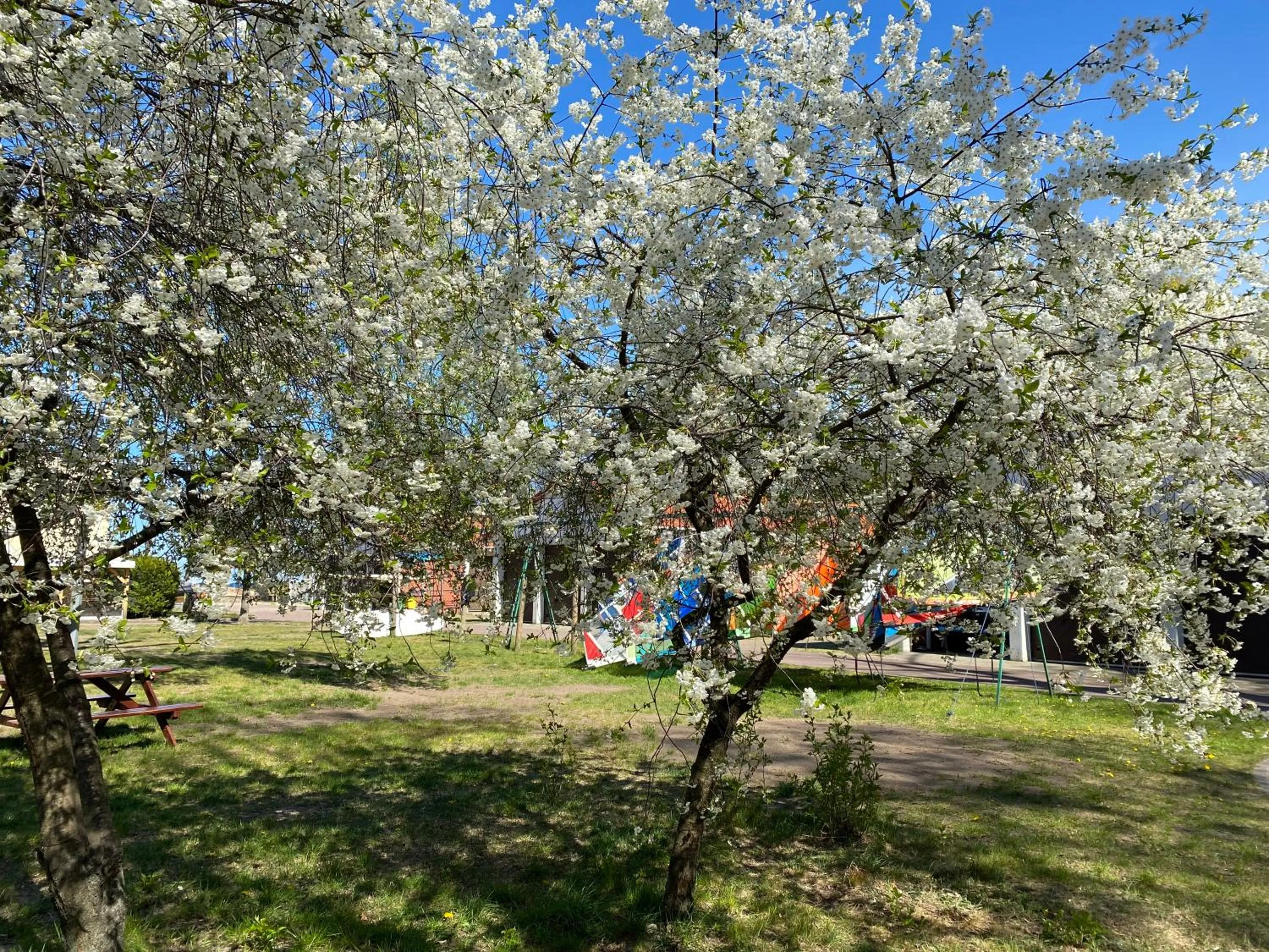 Natural landscape in Yacht Club Residence Sopot