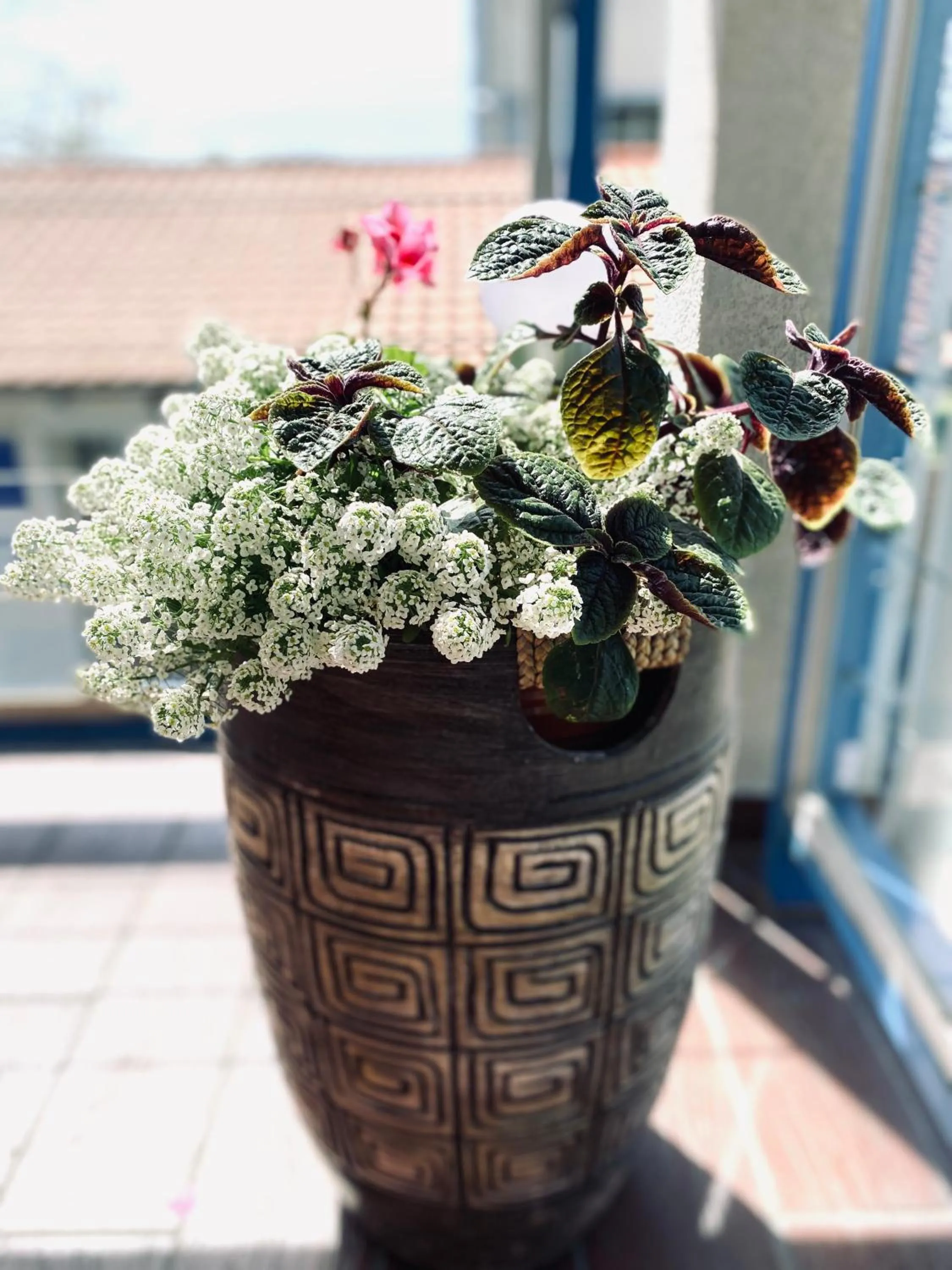 Property building in Yacht Club Residence Sopot