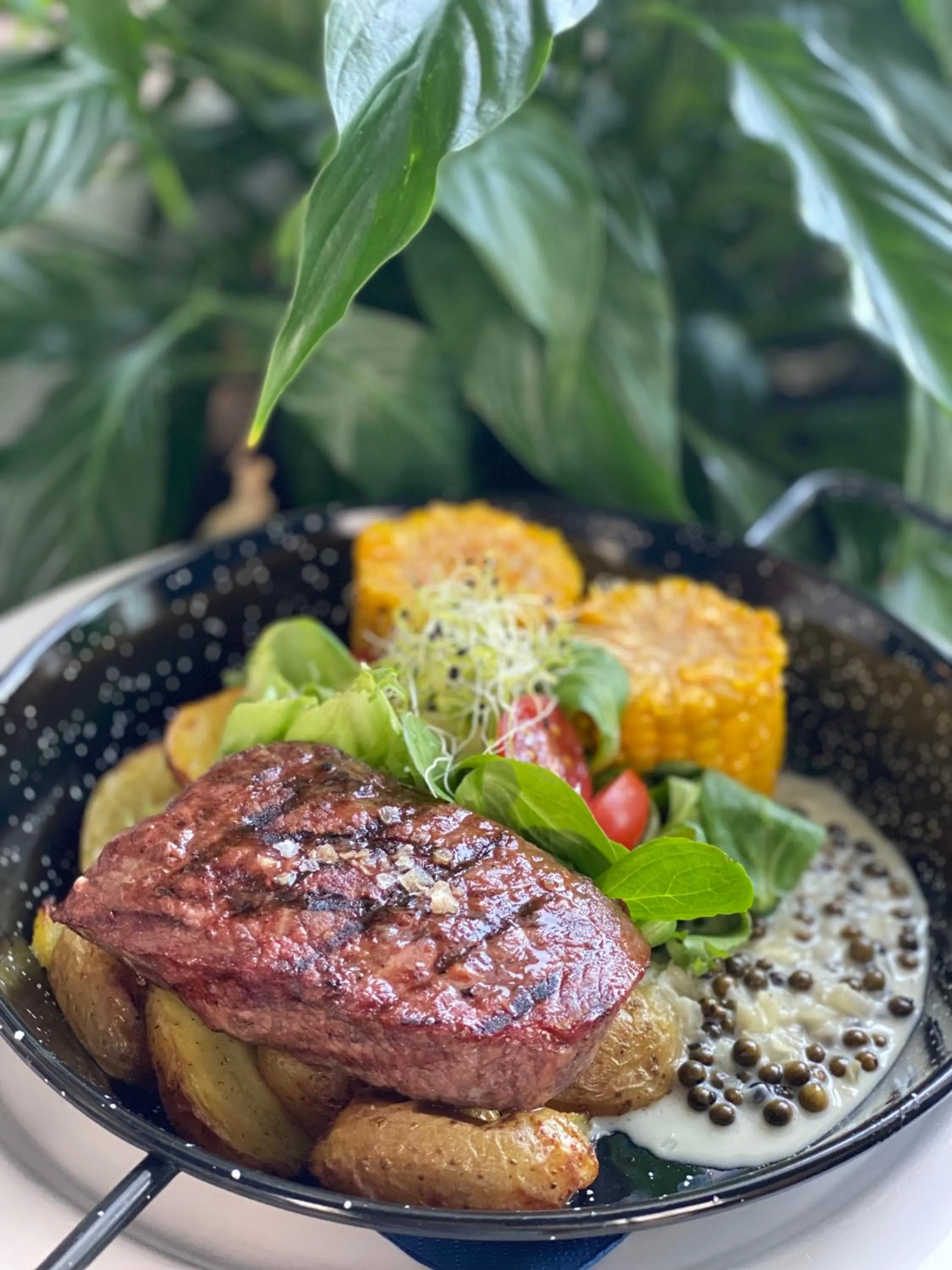 Food and drinks in Yacht Club Residence Sopot