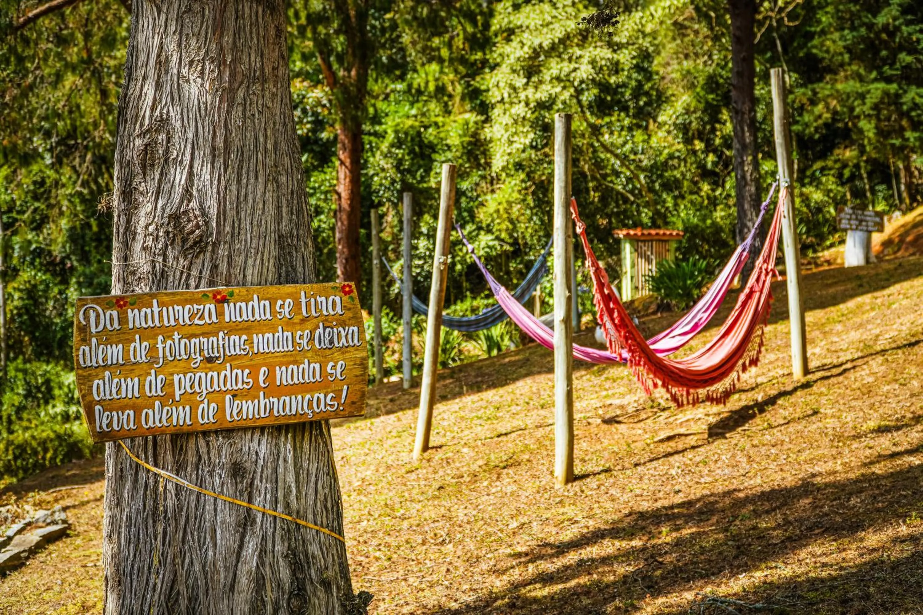 Natural landscape in VELINN Recanto das Hortencias Hotel