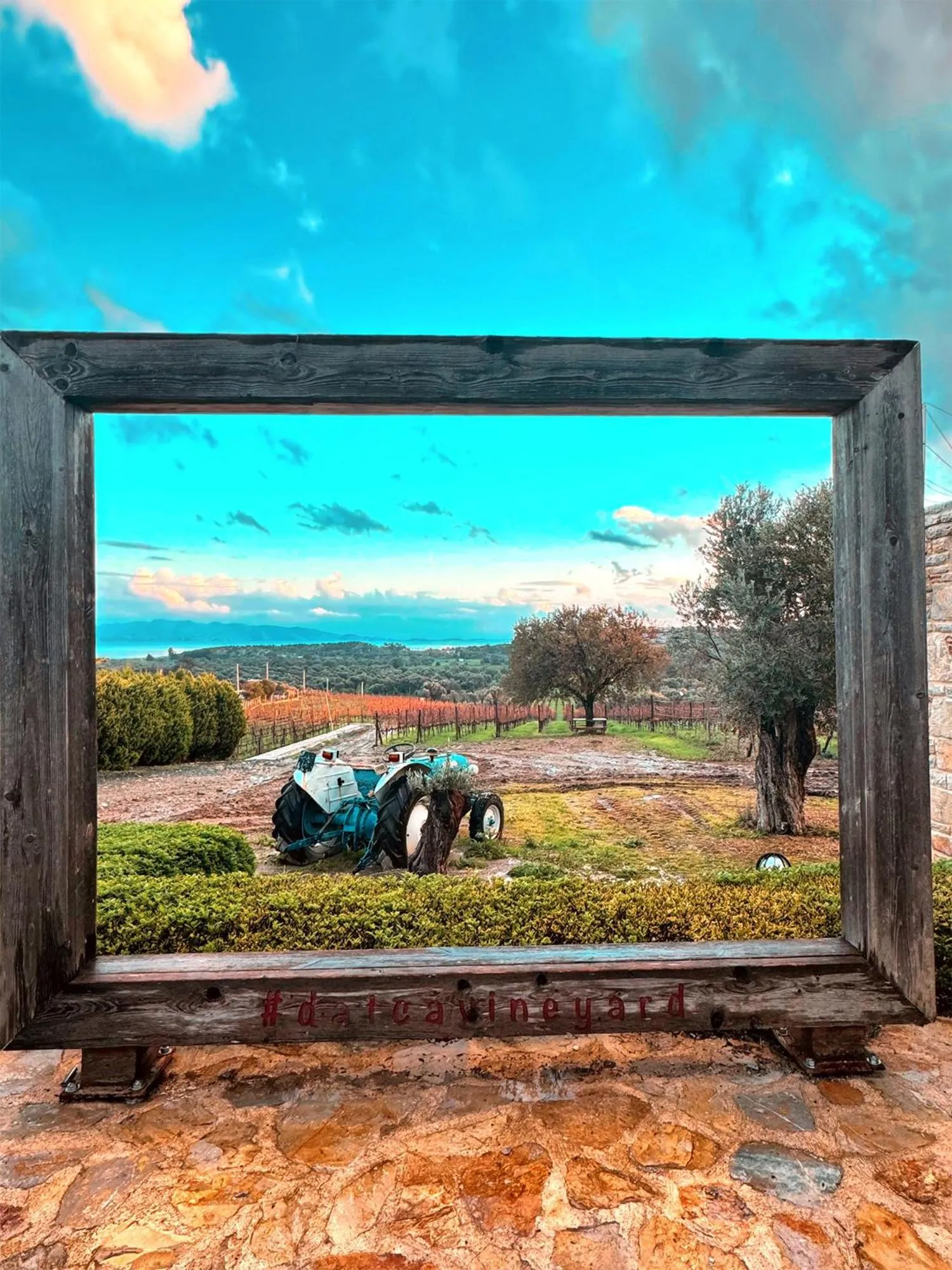 Datça Vineyard Guesthouse - Over 14 years old only