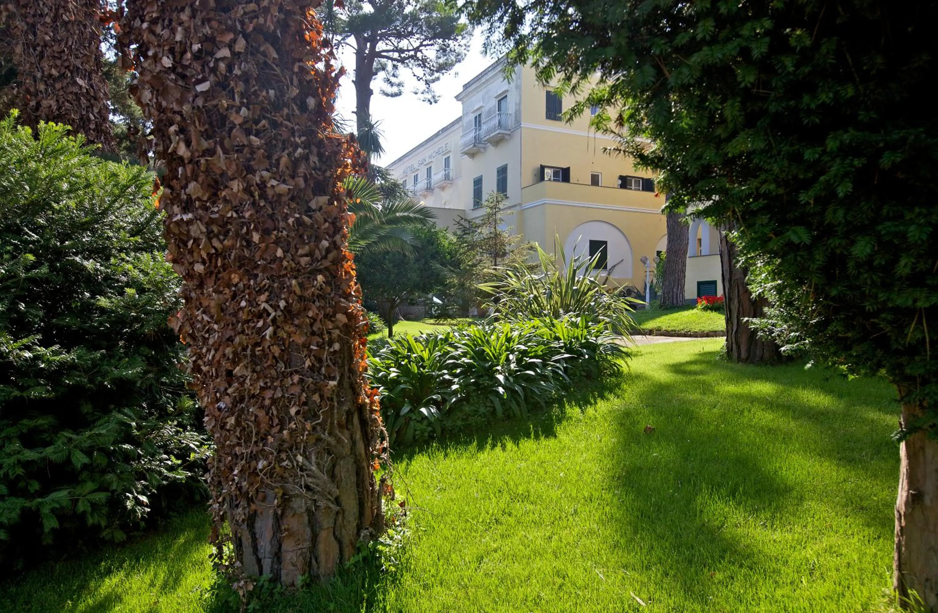 Garden in Hotel San Michele