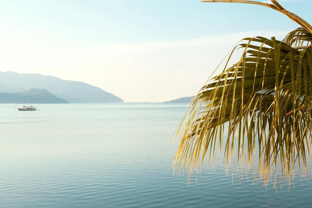 Area and facilities in The Beachfront Hotel Adult Only 16 Plus