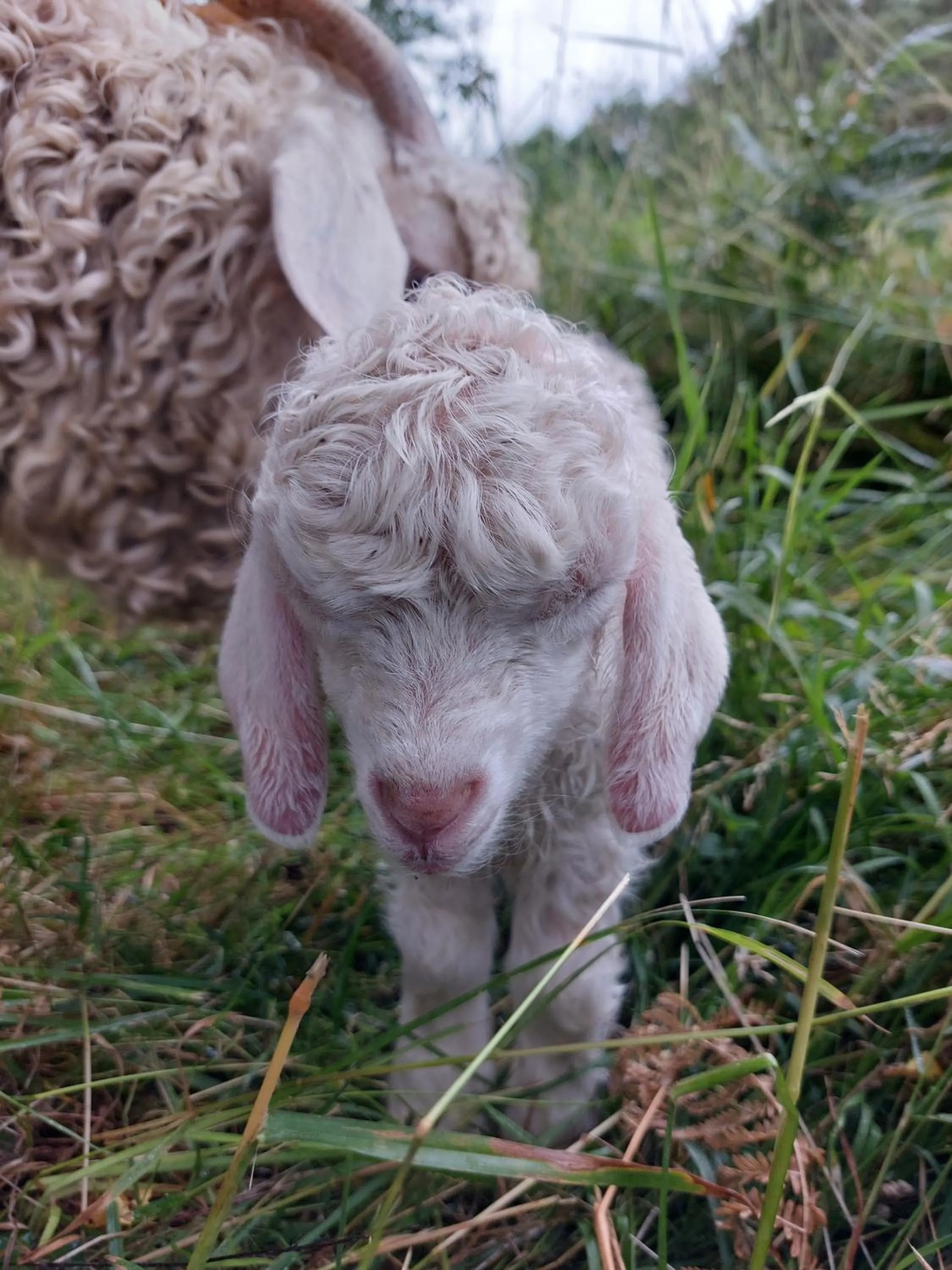 Day in Le clos du Tay