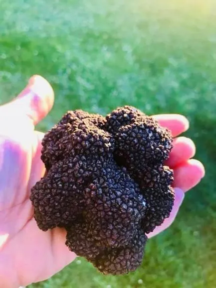 Hôtel Le Troubadour à Rocamadour