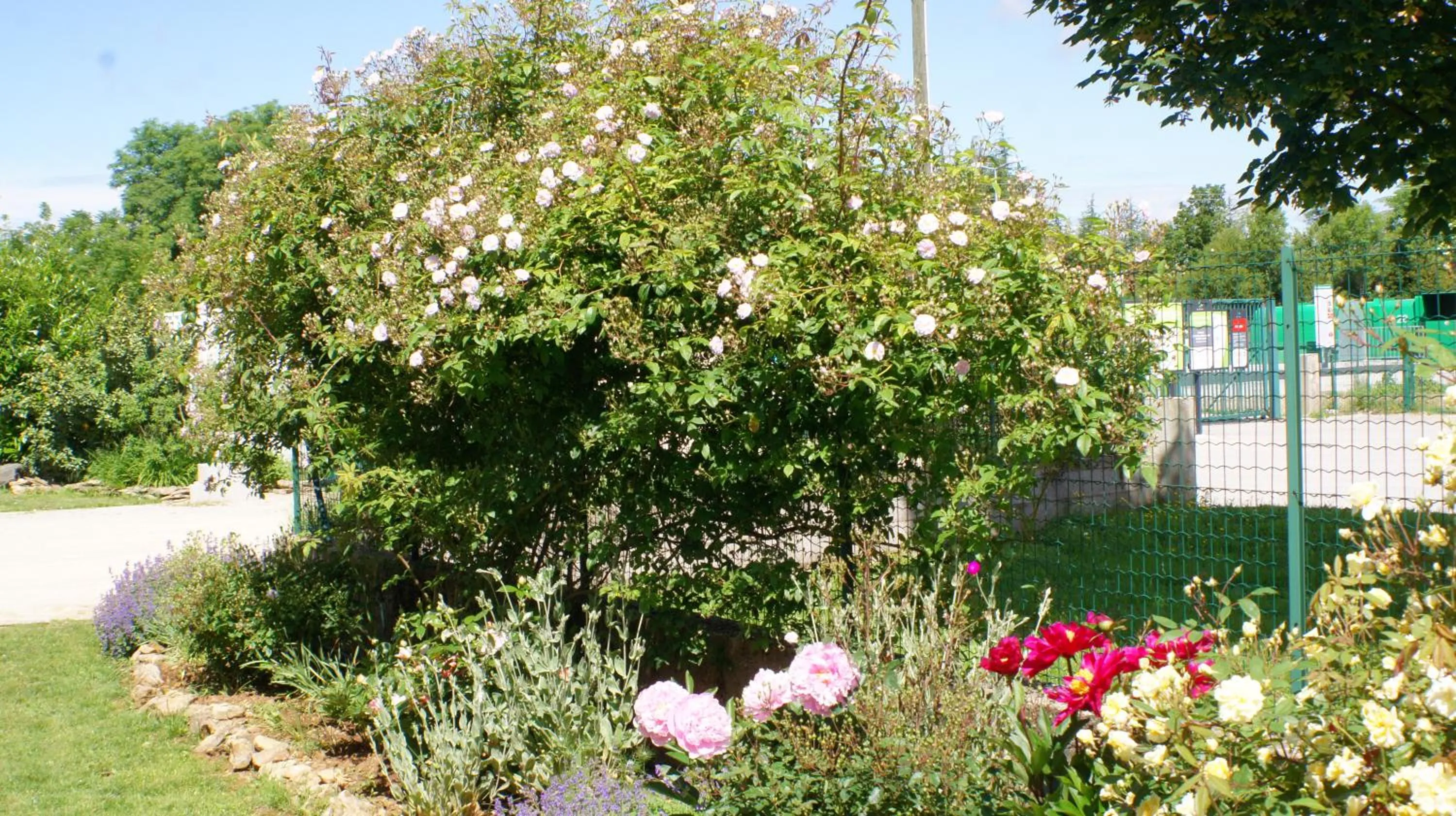 Garden in Acaba d'Entrar