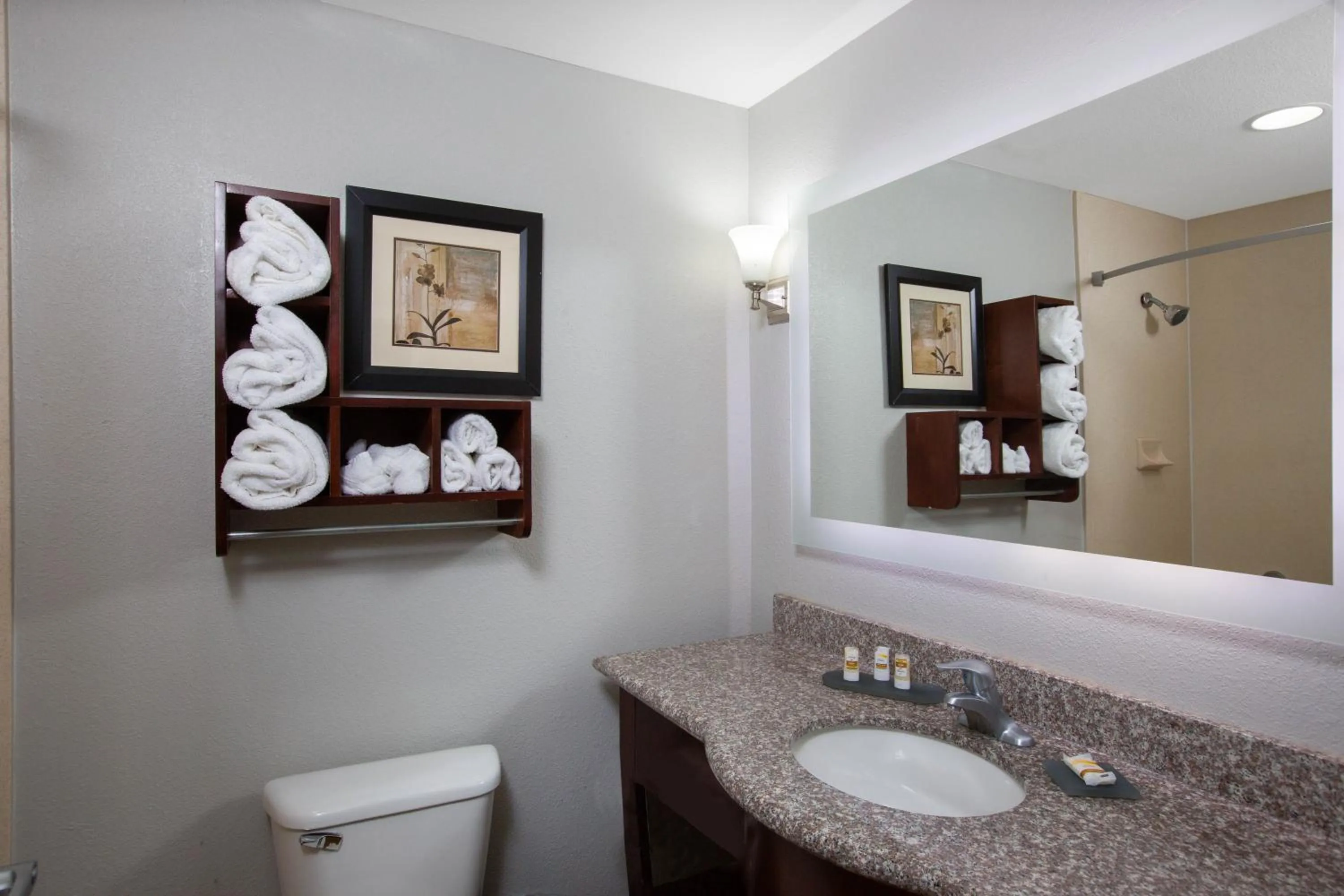 Bathroom in La Quinta by Wyndham Tupelo