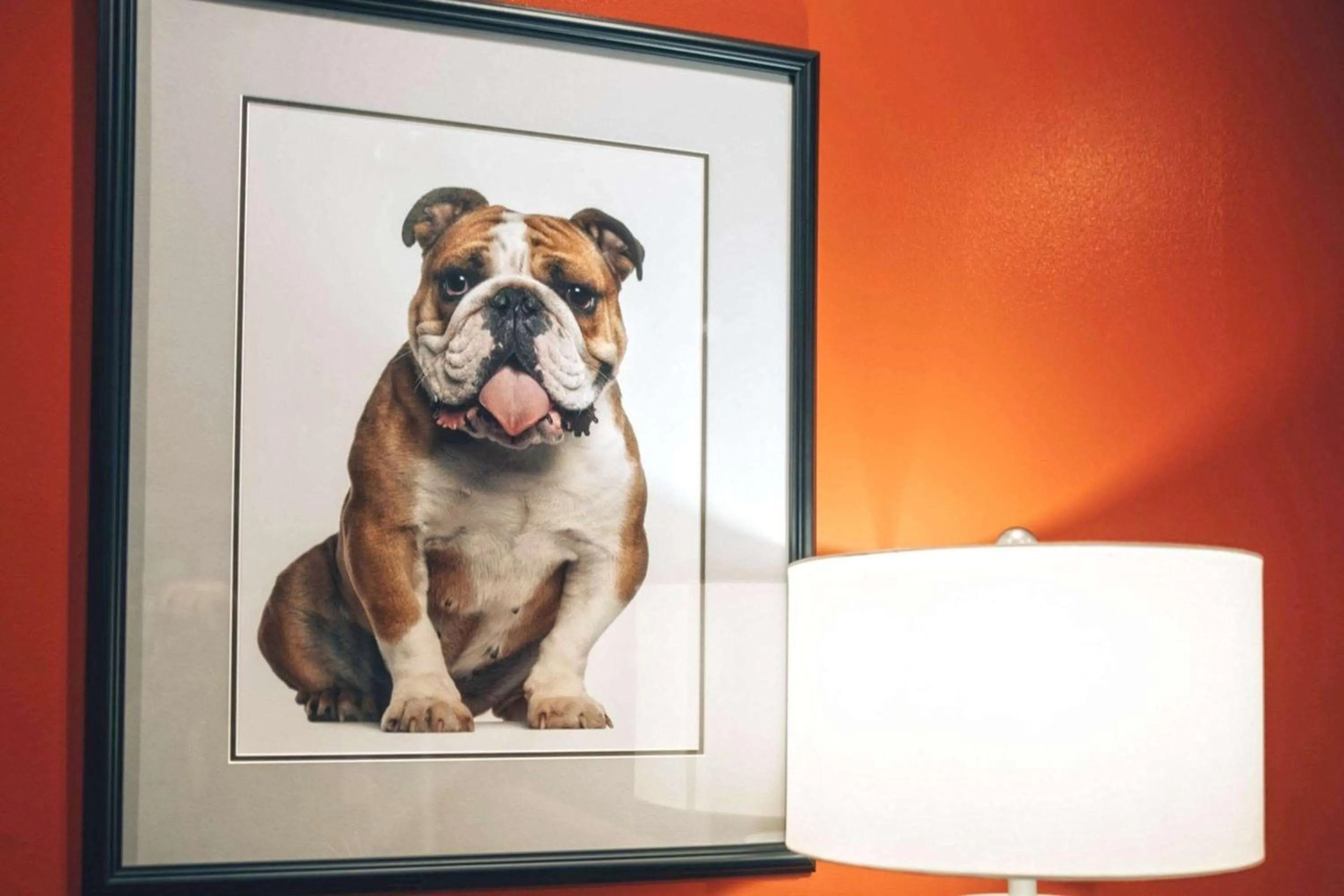 Lobby or reception in La Quinta by Wyndham Starkville at MSU