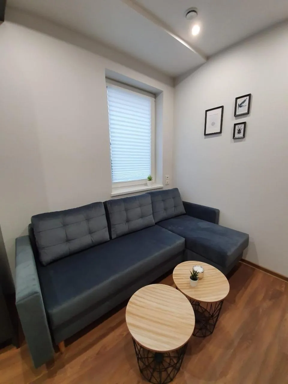Living room in Oak house apartments