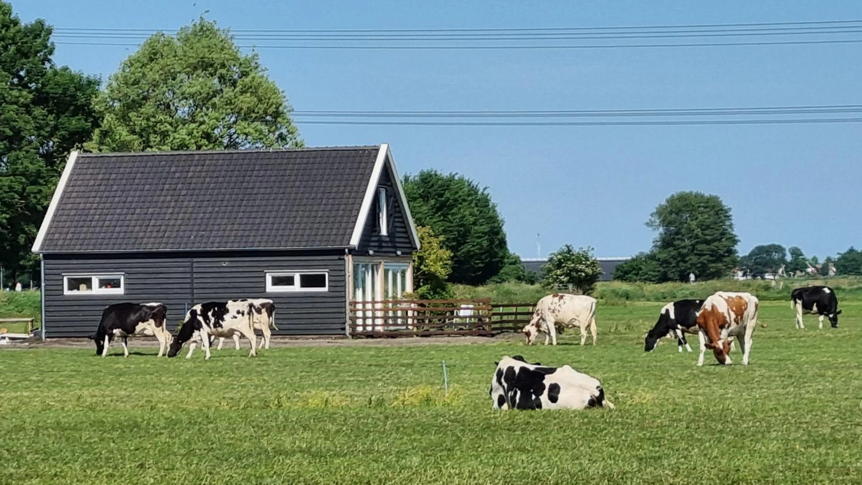 Natural landscape in City Farmer Amsterdam a Guesthouse with Free Parking, Bikes & Easy City Center Access