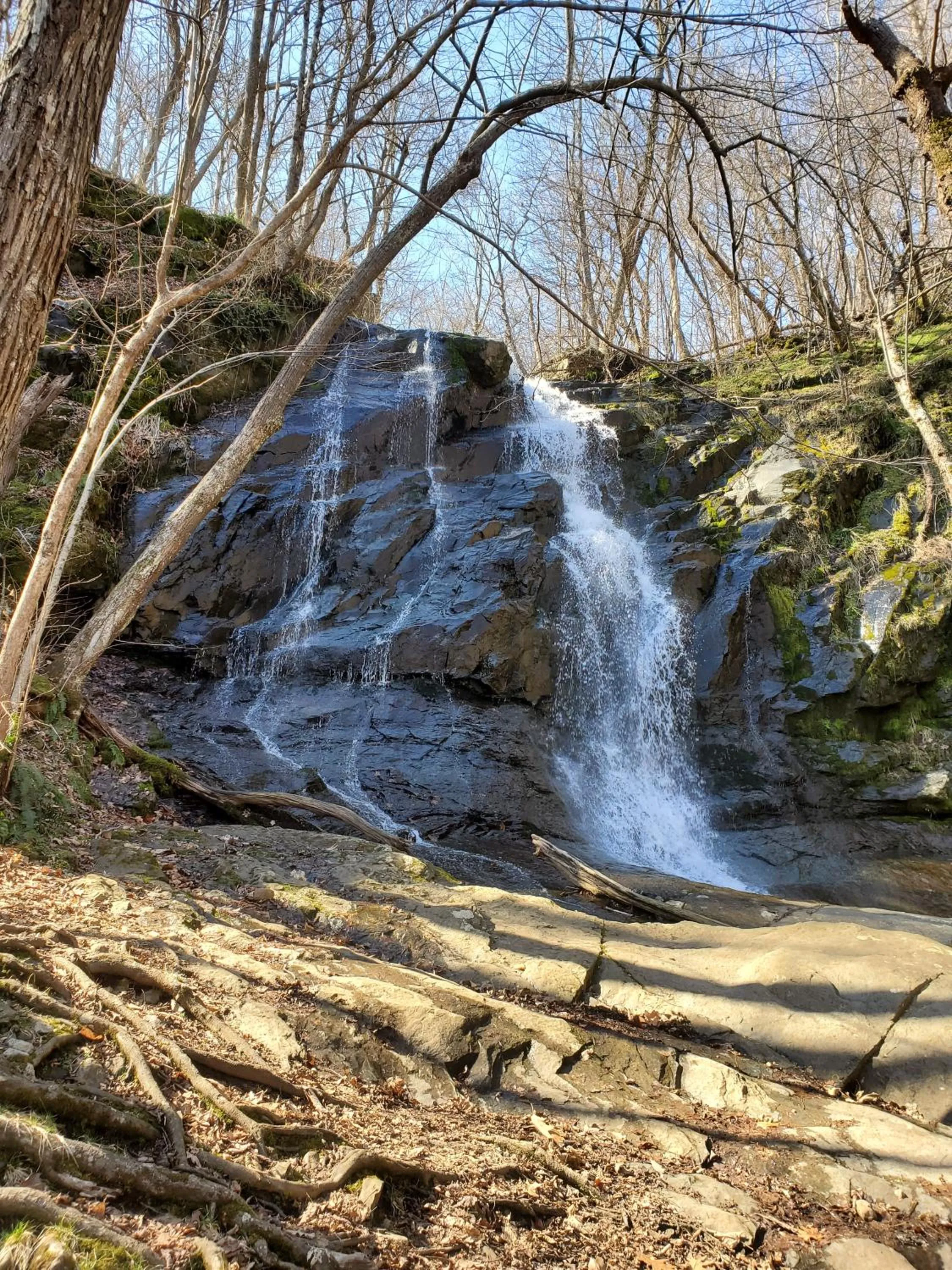 Hiking in Mountain Home Bed & Breakfast
