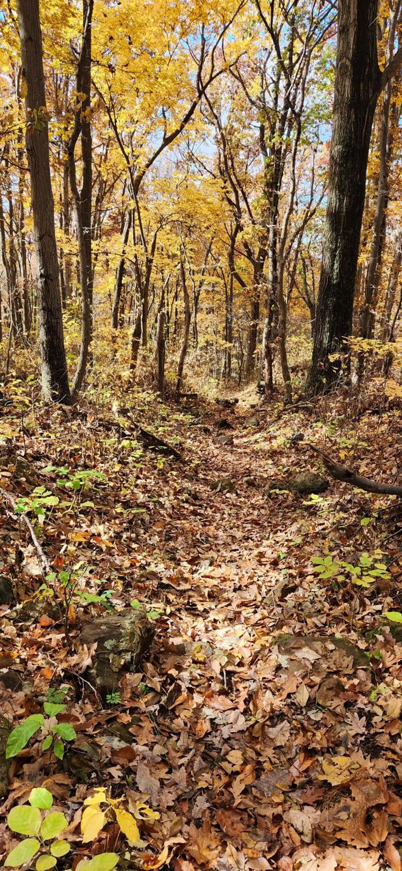 Hiking in Mountain Home Bed & Breakfast