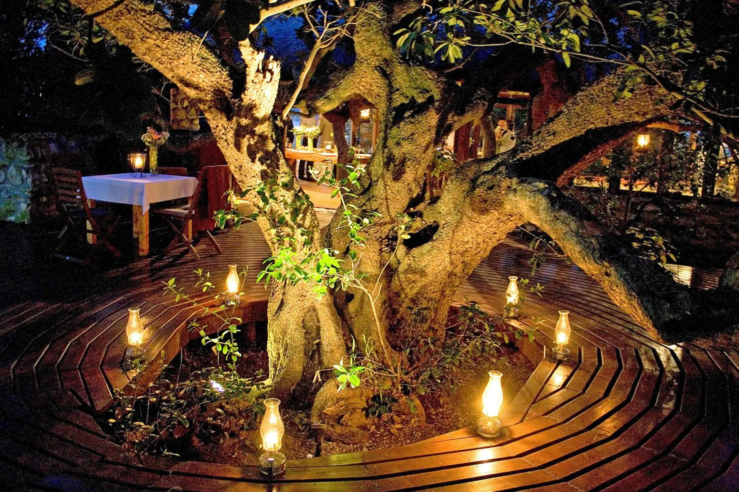 Garden in Mosaic Lagoon Lodge