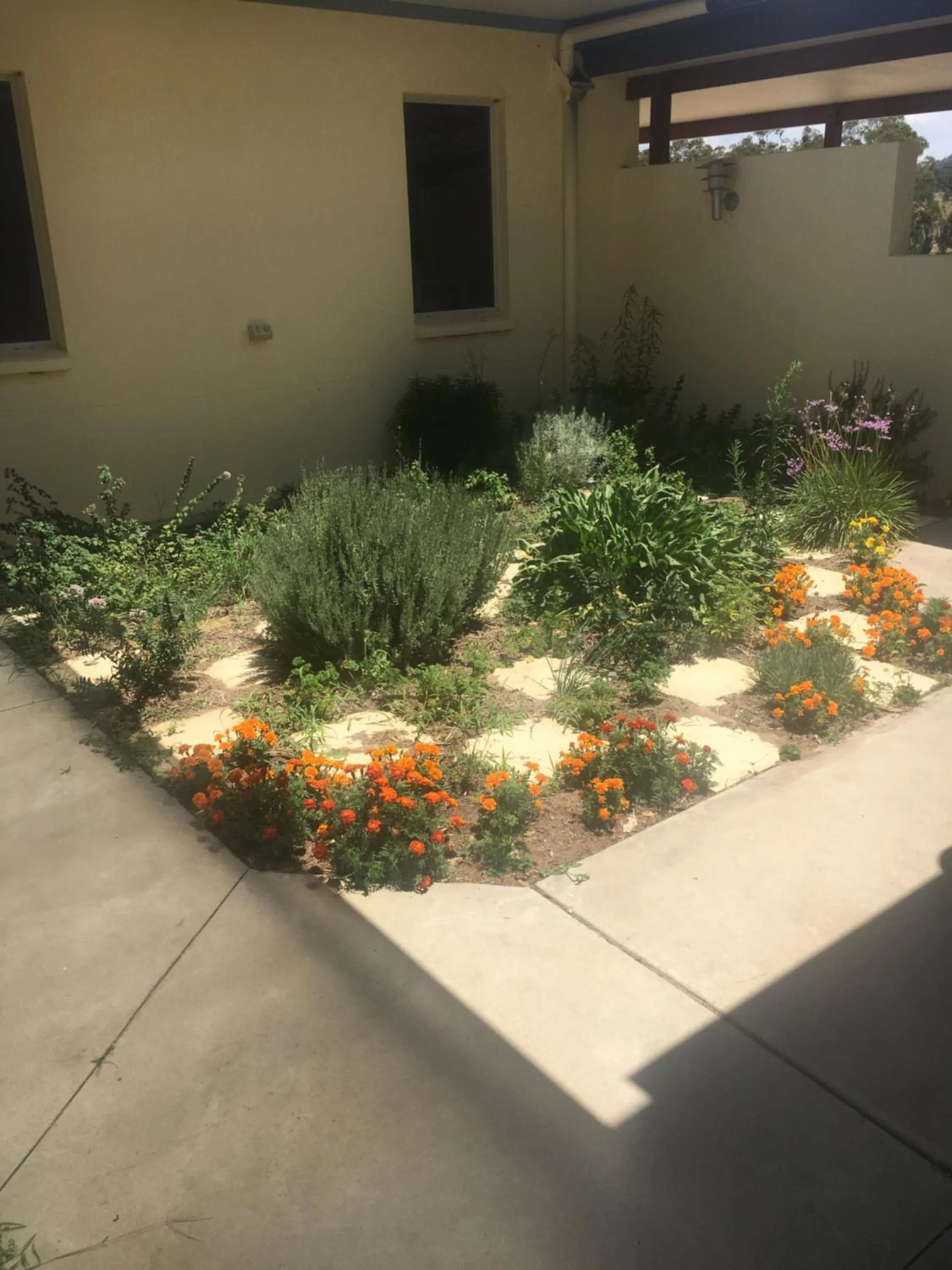 Garden in Donegal Farmstay