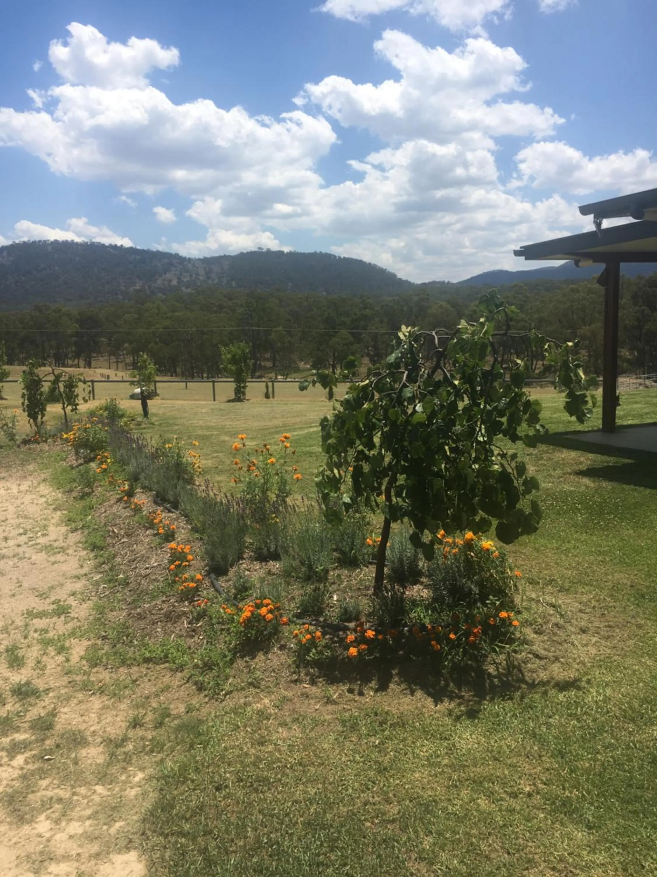 Garden in Donegal Farmstay