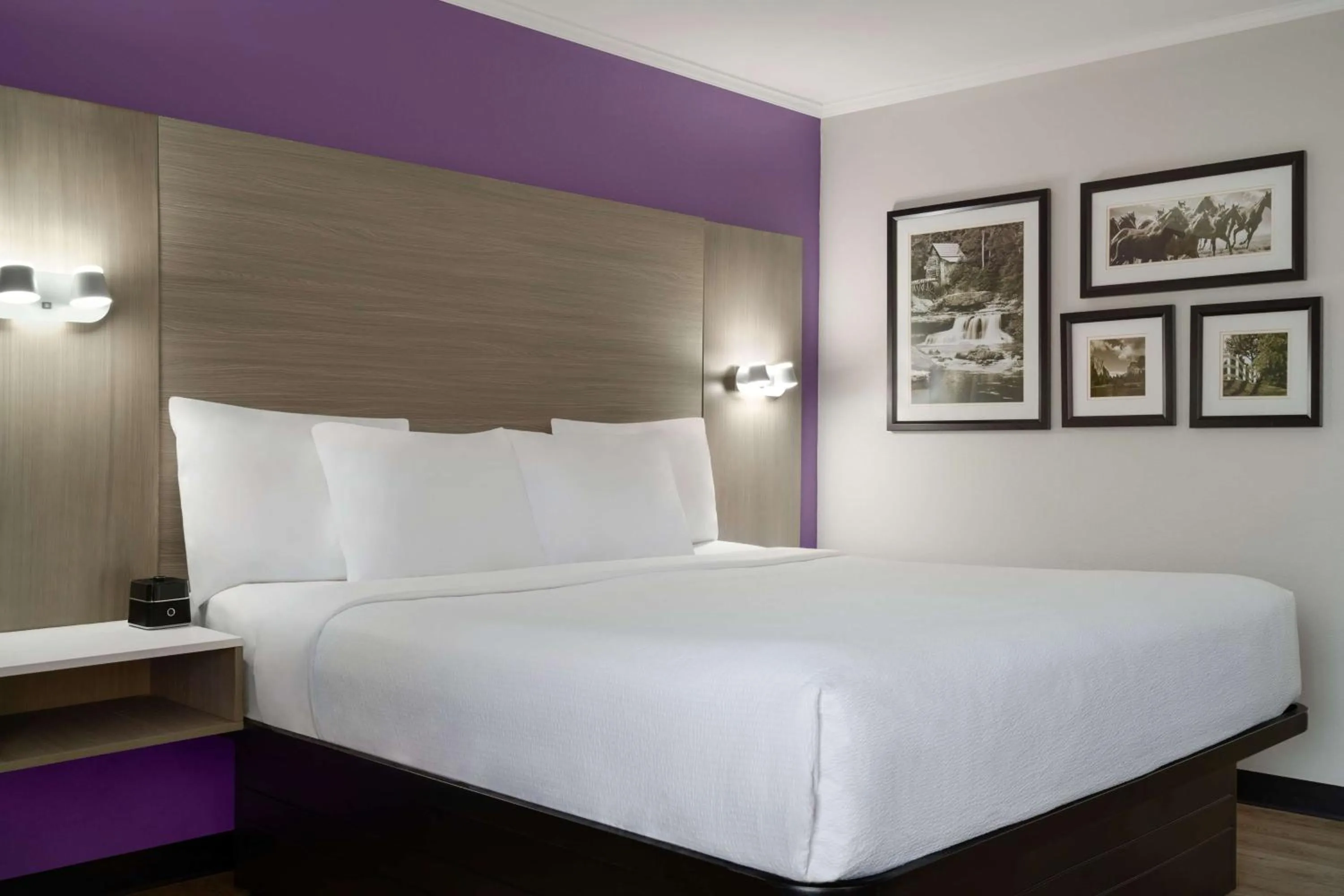 Photo of the whole room, Bed in La Quinta Inn Birmingham - Inverness