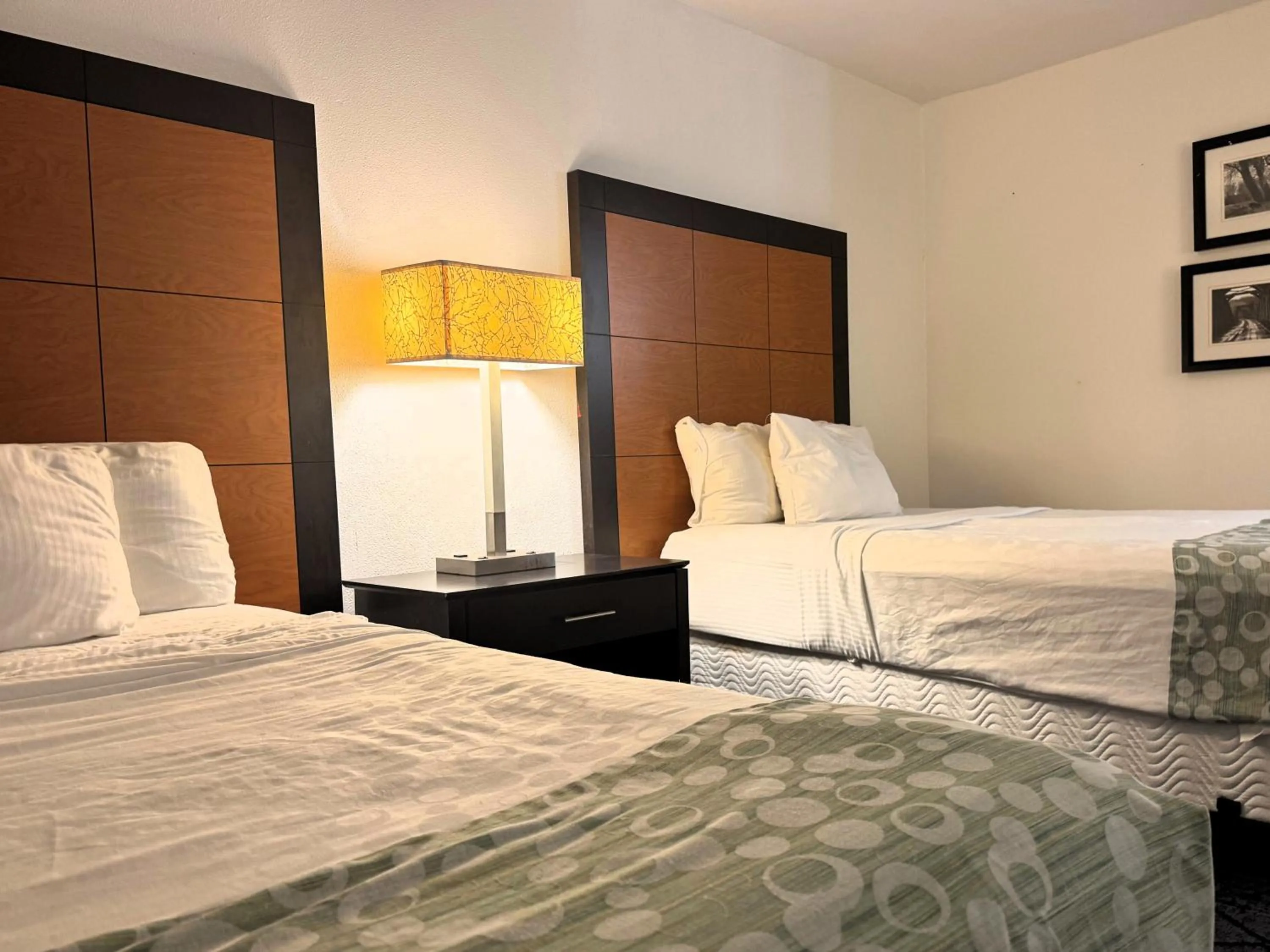 Bed in Baymont by Wyndham Meridian