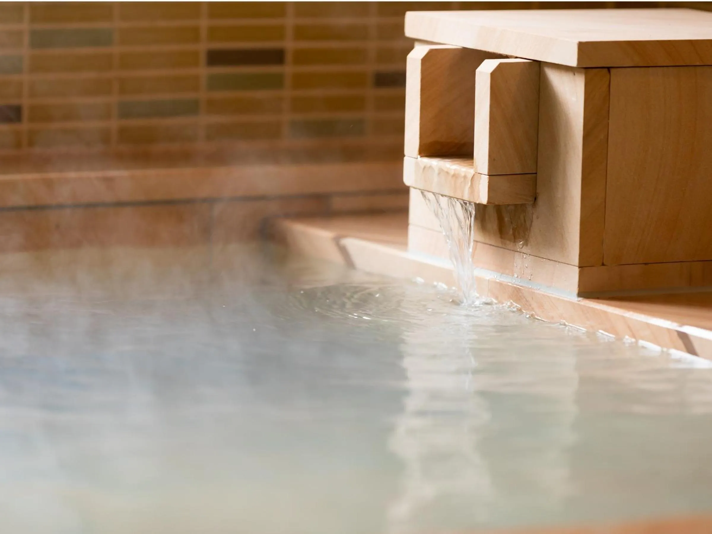 Hot Spring Bath in Akarinoyado Togetsu