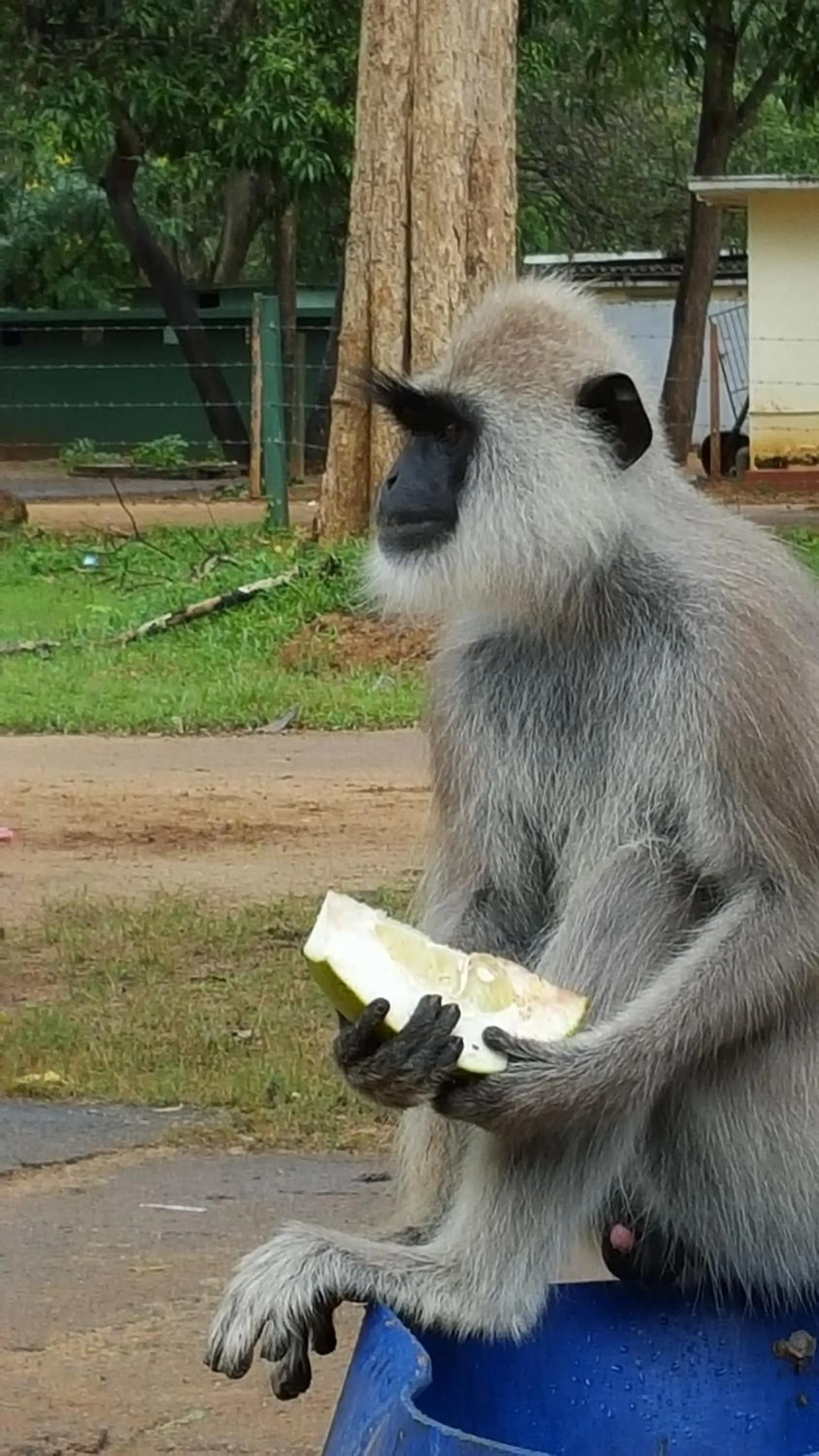 Staff in Casa Samaya Chill Bay Weligama