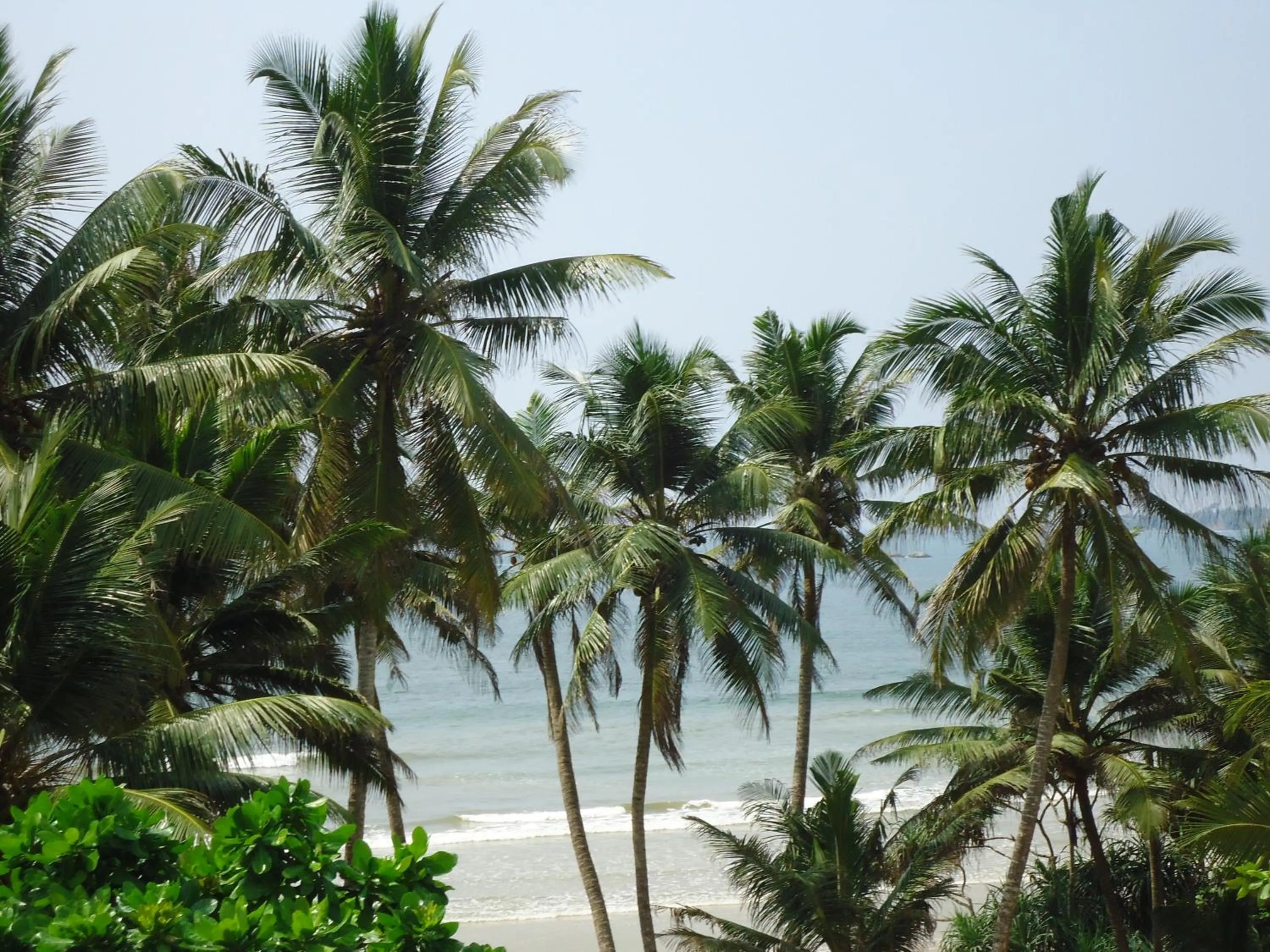 Beach in Casa Samaya Chill Bay Weligama