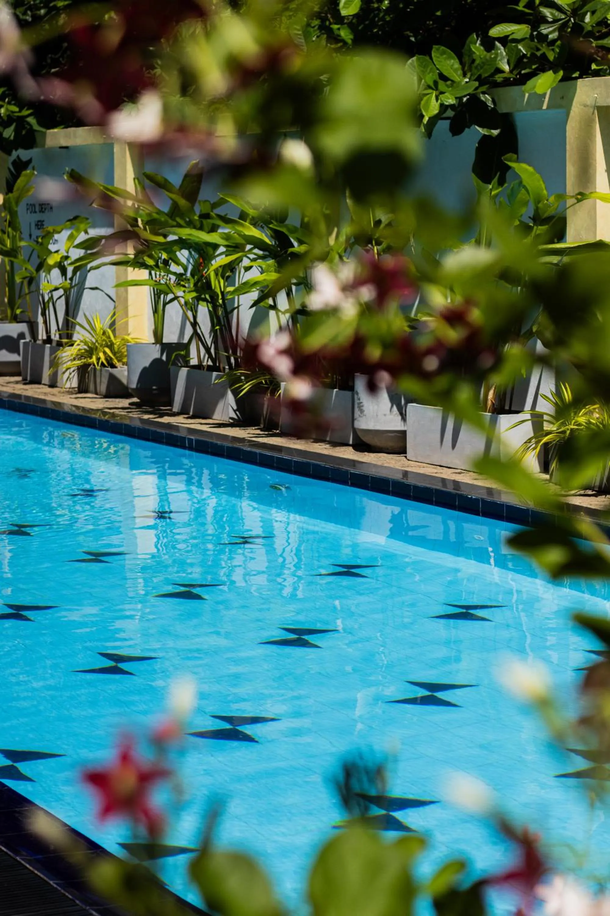 Swimming pool in Casa Samaya Weligama - formerly Chill Bay