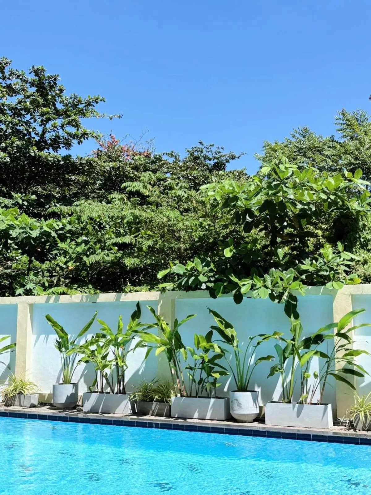 Swimming pool in Casa Samaya Weligama - formerly Chill Bay