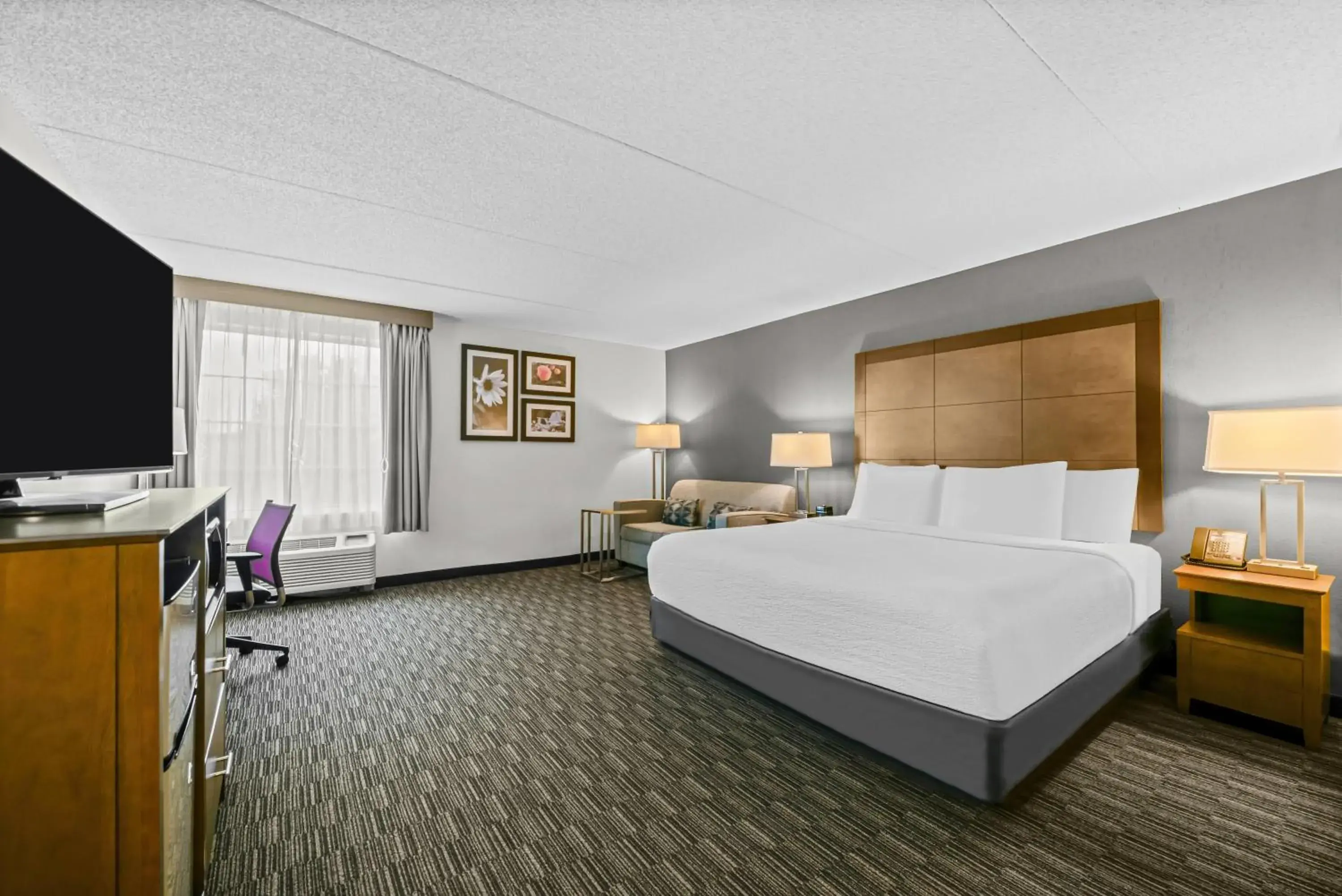 King Studio Suite - Mobility Access/Non-Smoking in La Quinta by Wyndham Atlanta Douglasville King Studio Suite - Mobility Access/Non-Smoking in La Quinta by Wyndham Atlanta Douglasville