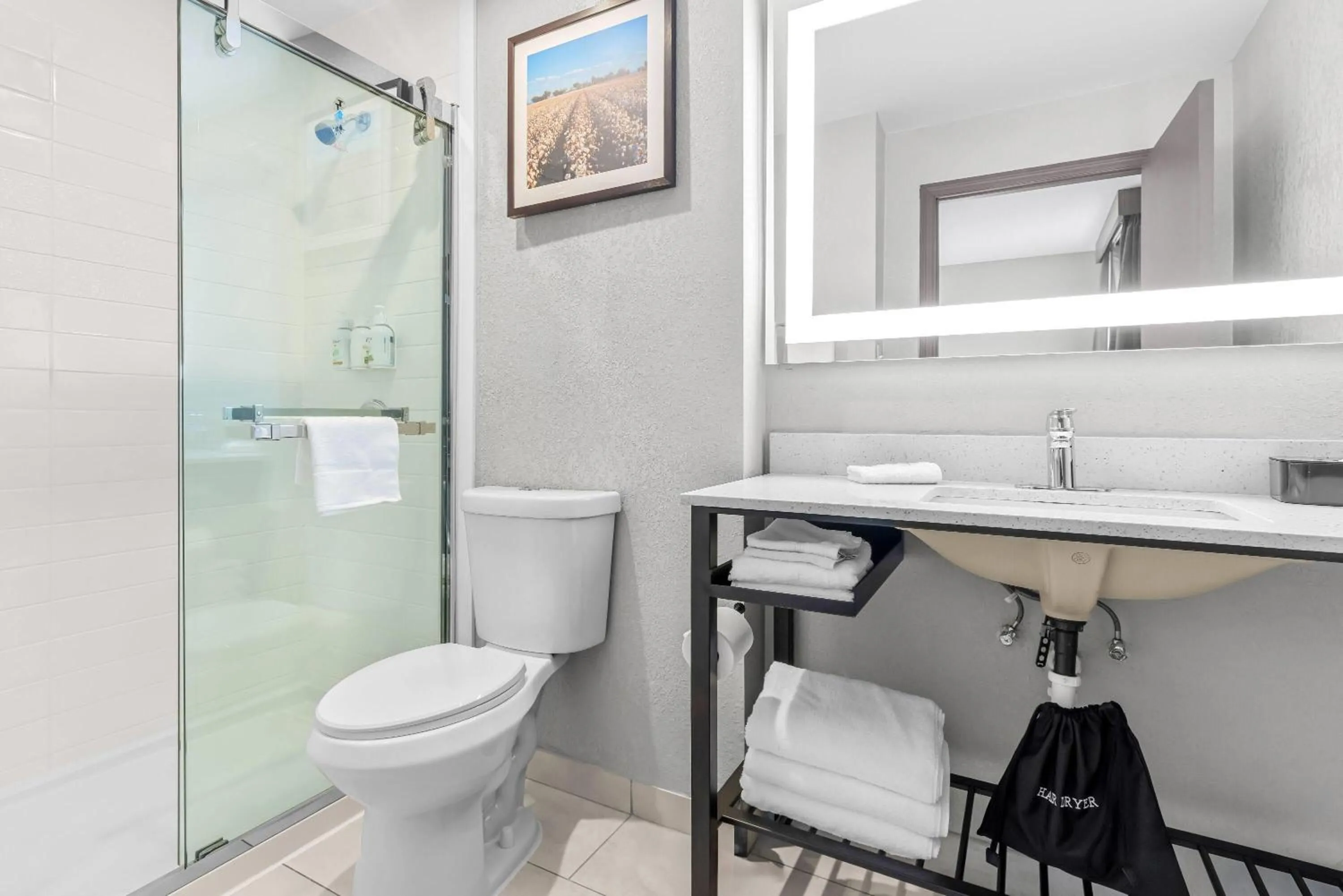 Bathroom in La Quinta Inn by Wyndham Huntsville Research Park