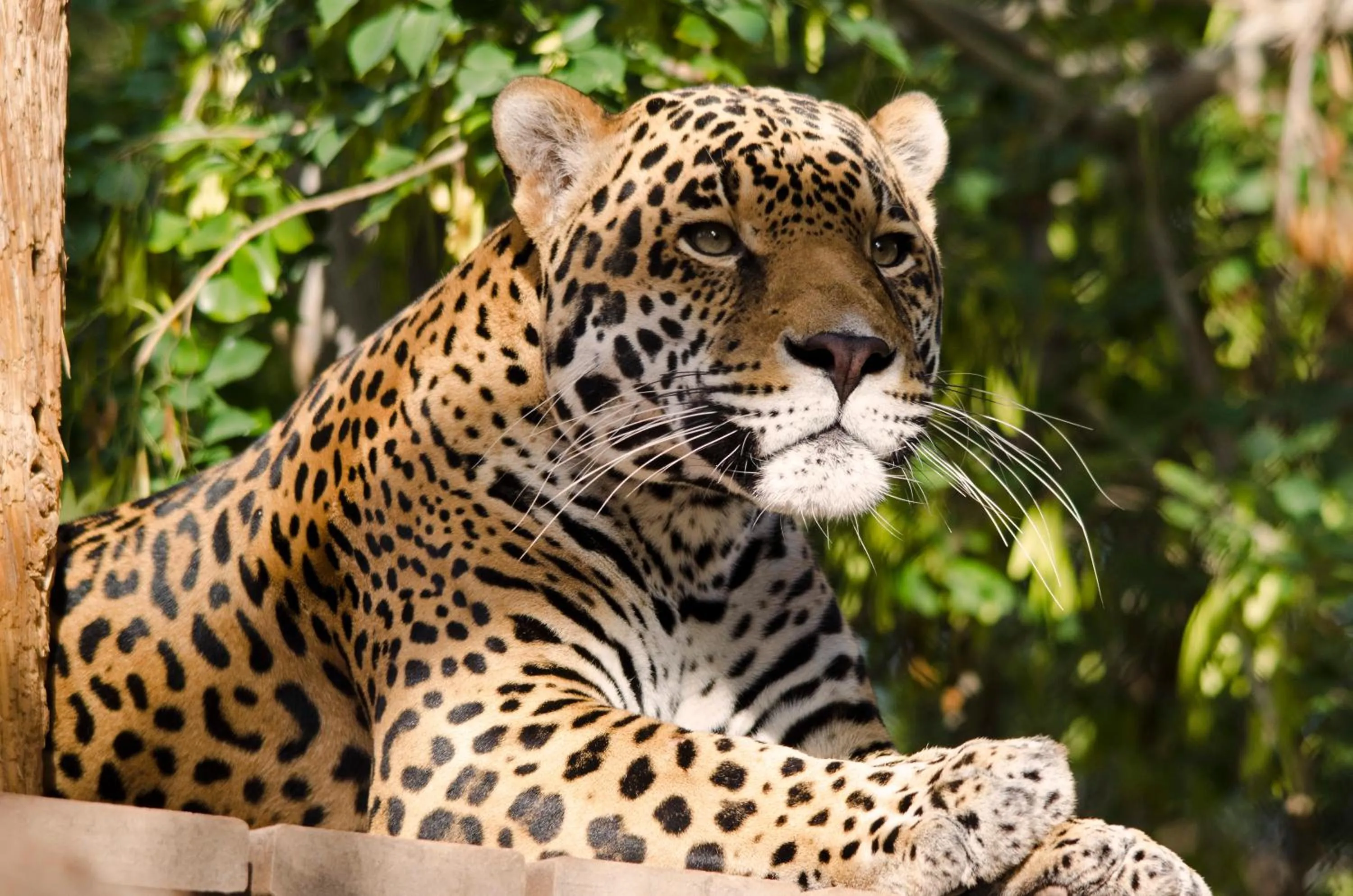 Nearby landmark in Holiday Inn Express & Suites - Phoenix - Airport North by IHG