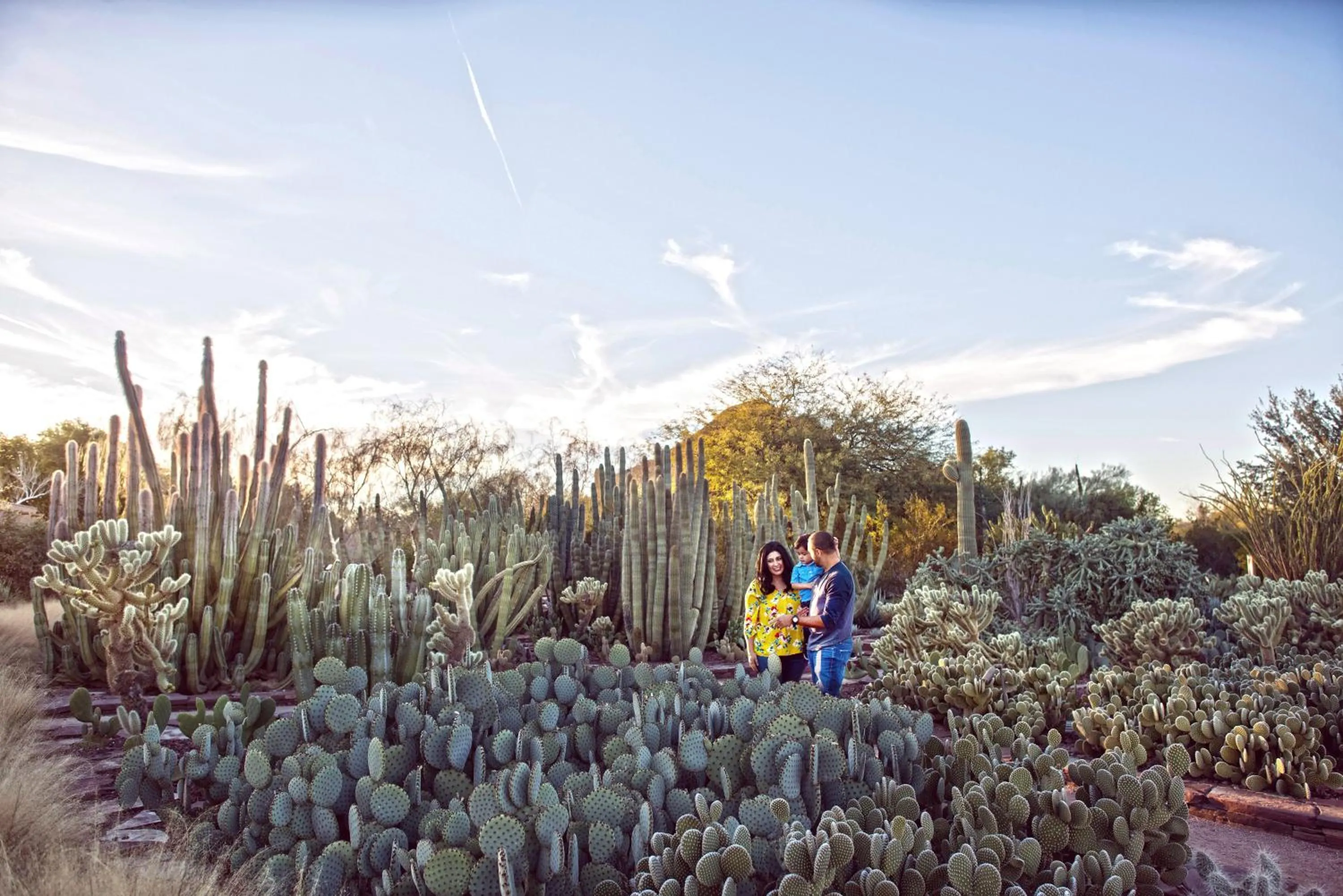 Nearby landmark in Holiday Inn Express & Suites - Phoenix - Airport North by IHG