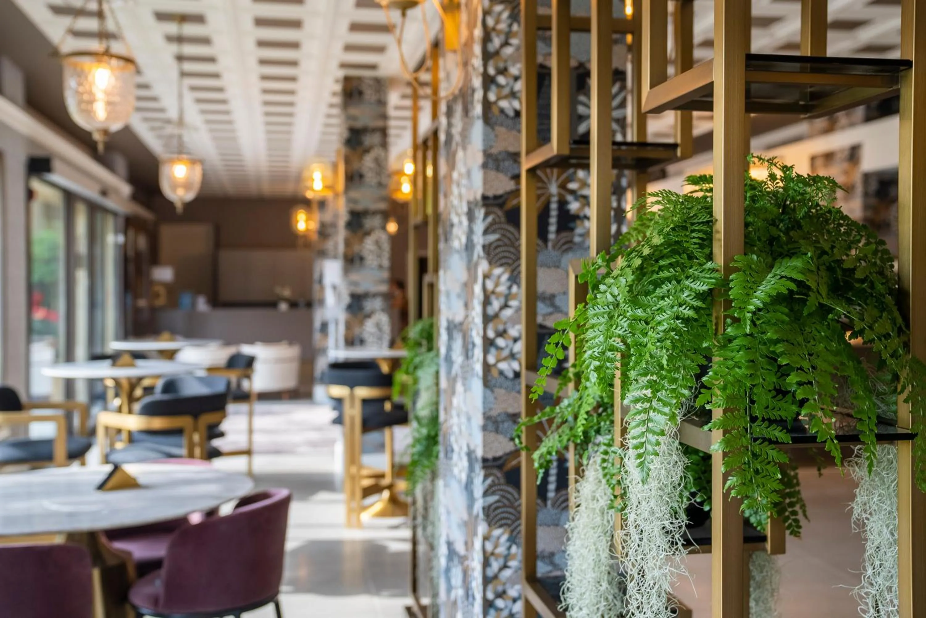 Restaurant/places to eat in Palazzo della Scala Spa Hotel Suites & Apartments