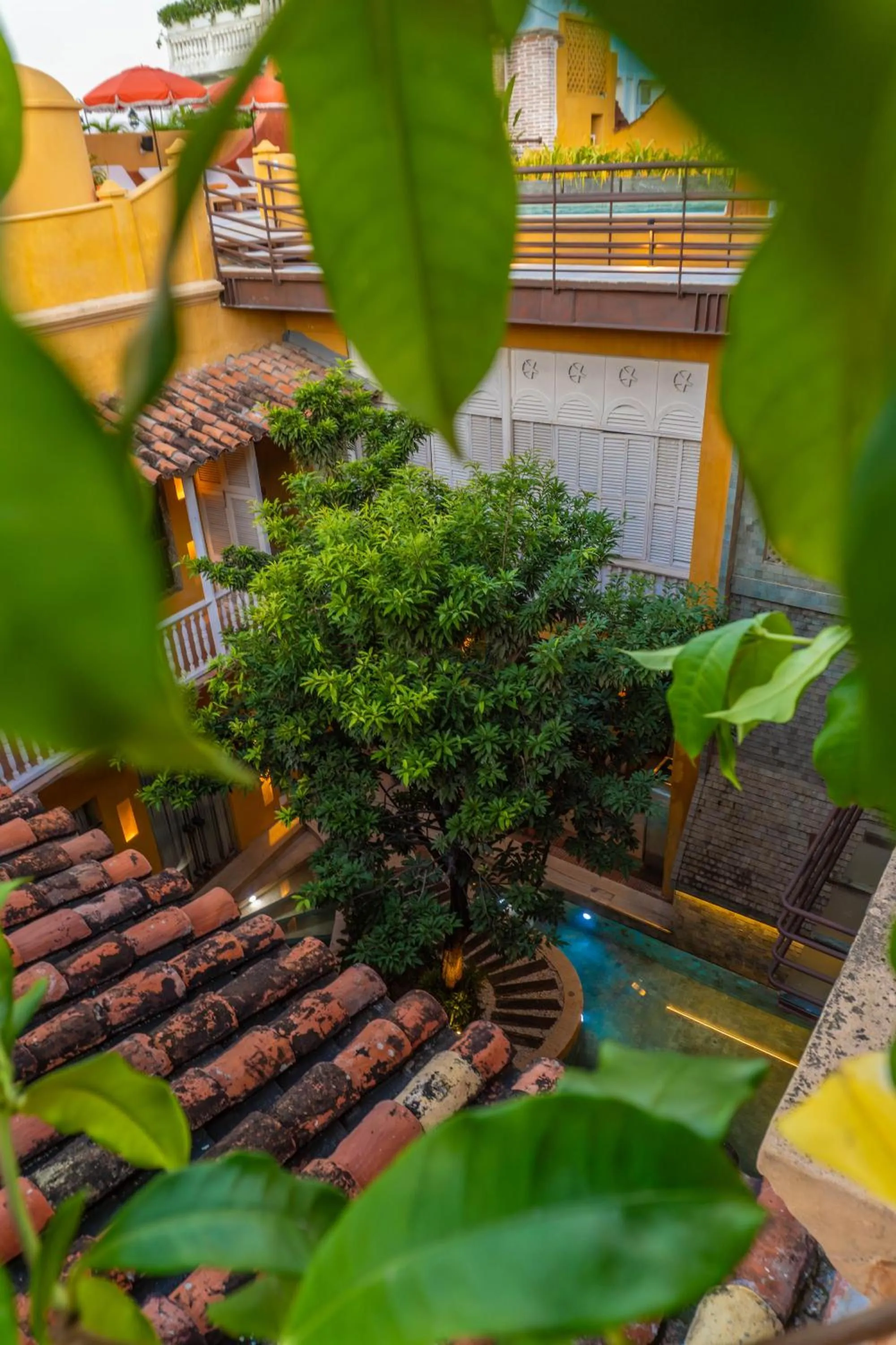 Casa Carolina Hotel Cartagena