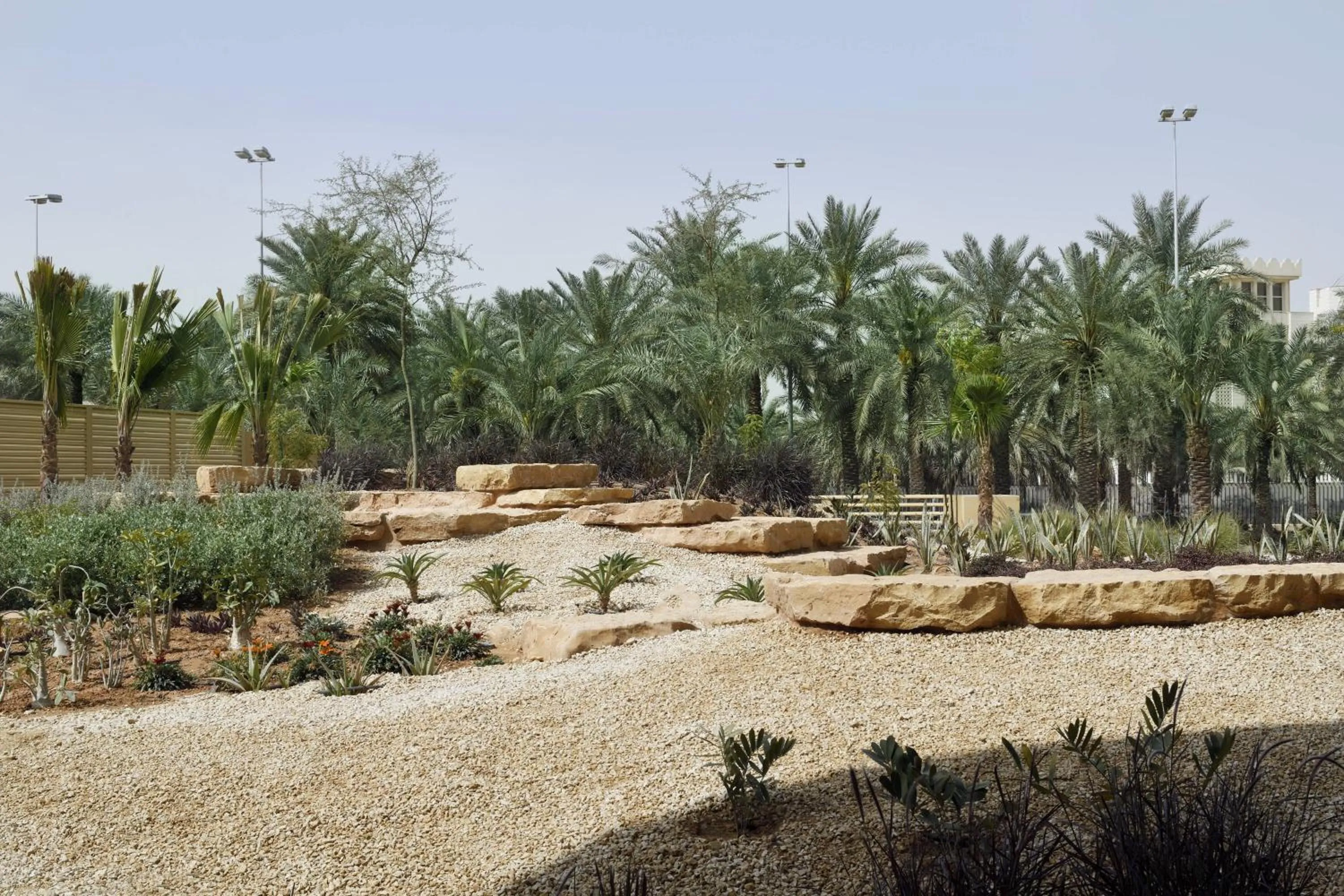 View (from property/room) in Riyadh Diplomatic Quarter - Marriott Executive Apartments